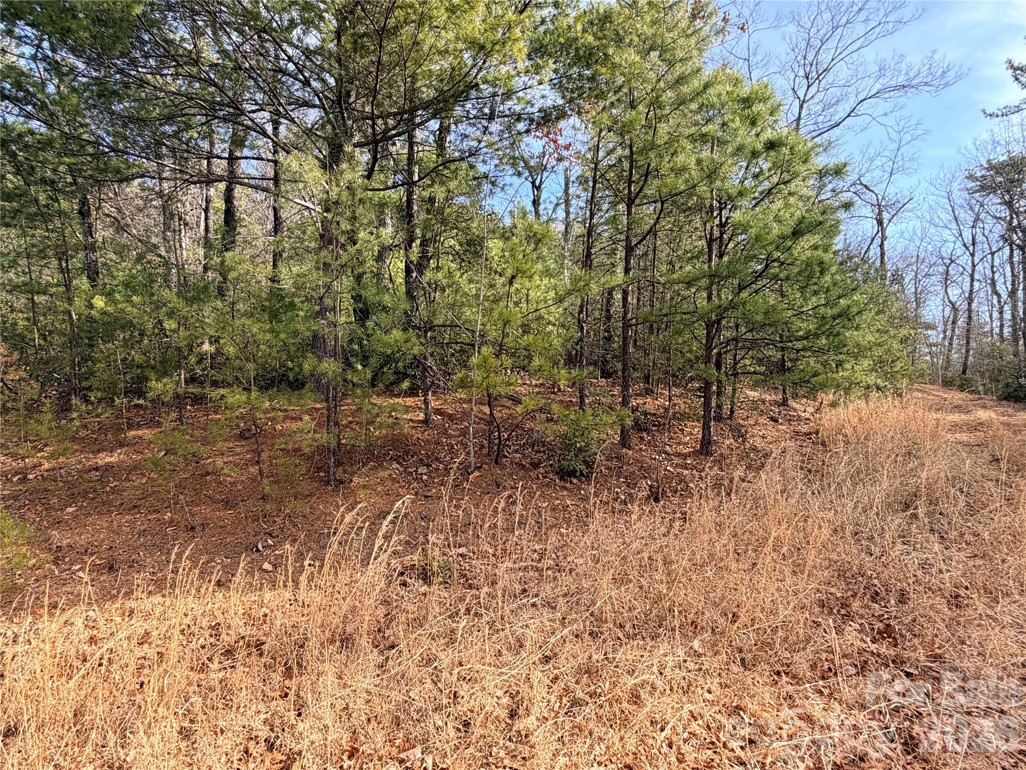 Buck Mountain - Land