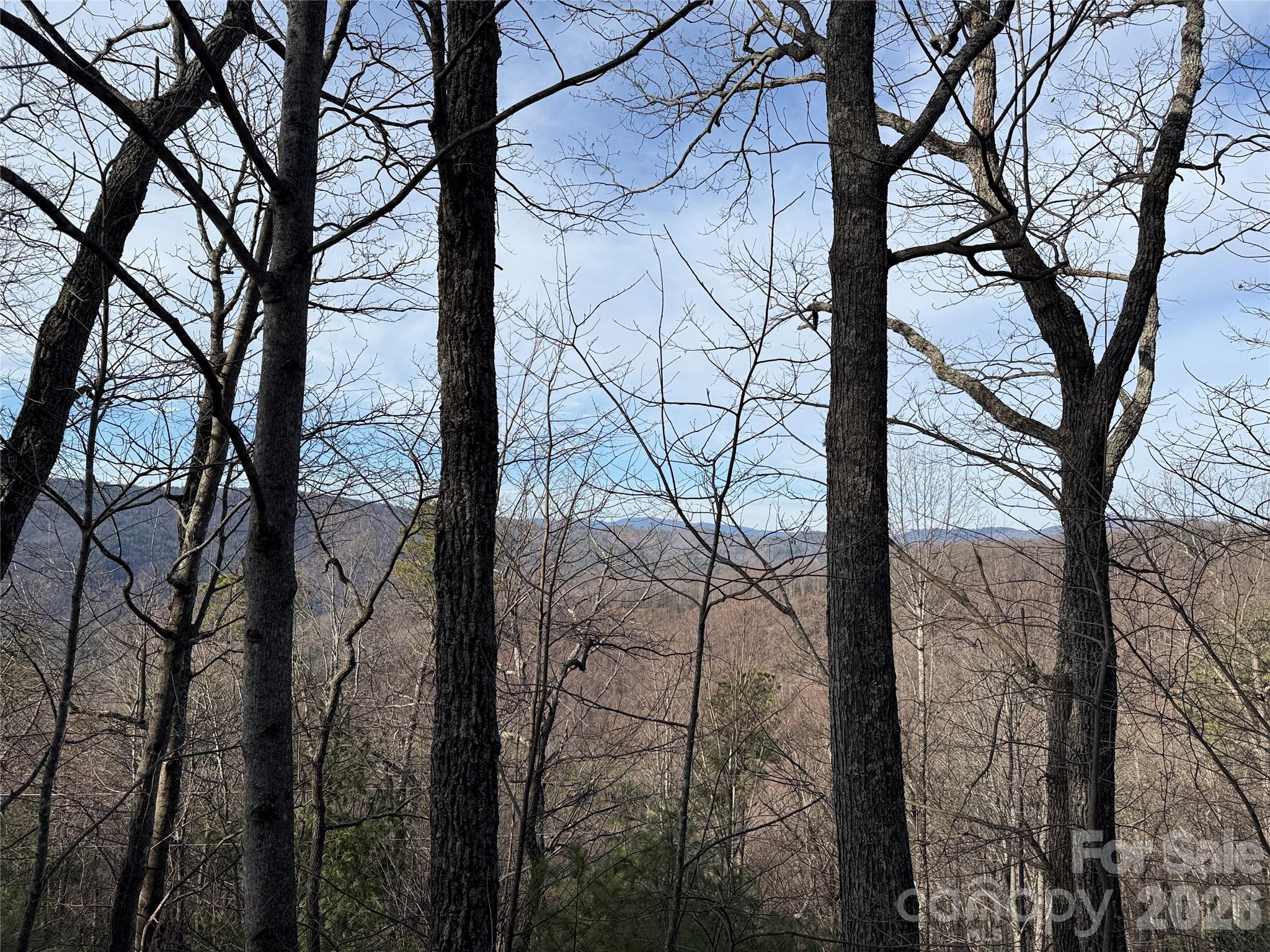 TBD Maple Valley Lane 207 & 220