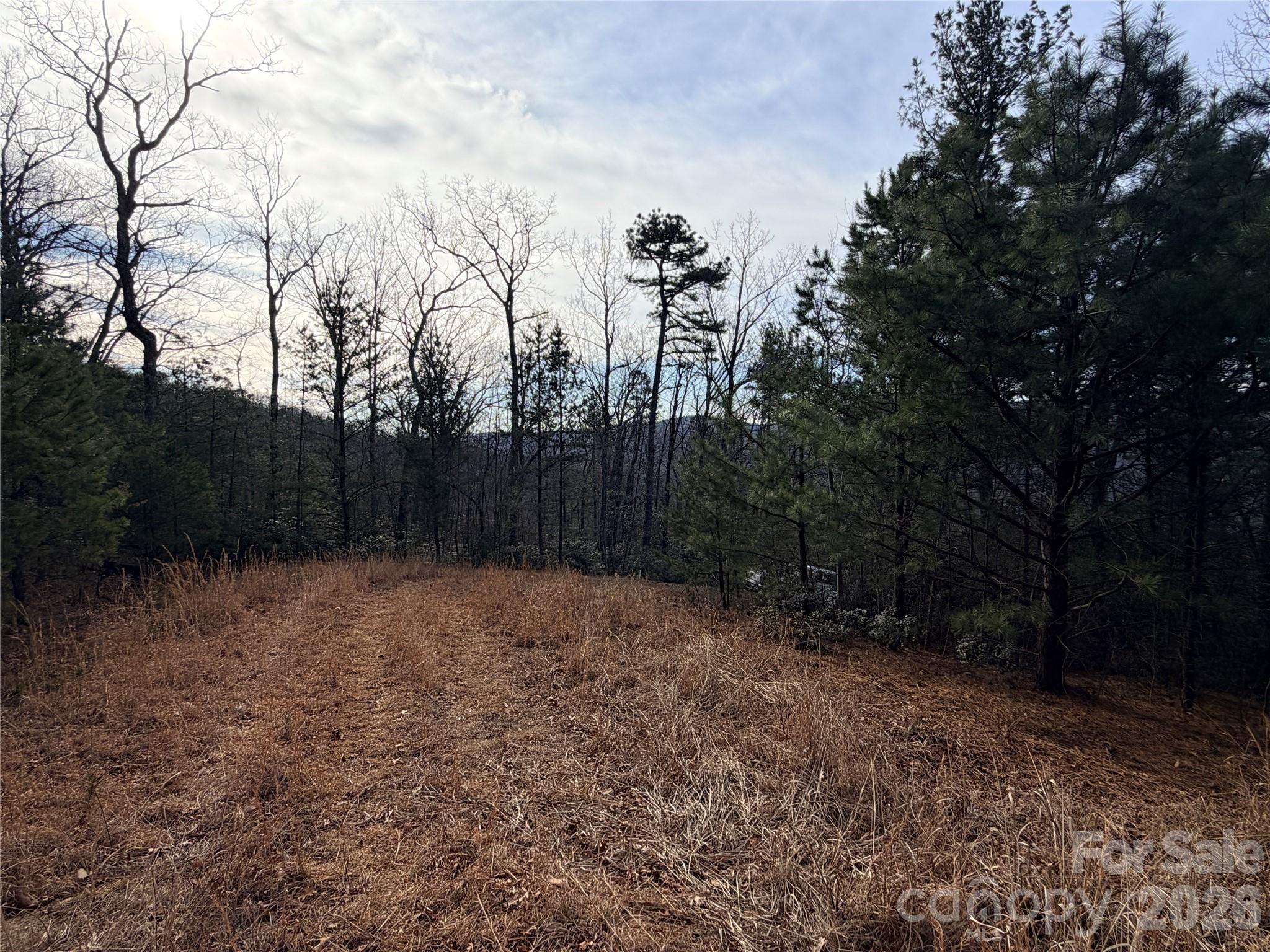 Buck Mountain - Land