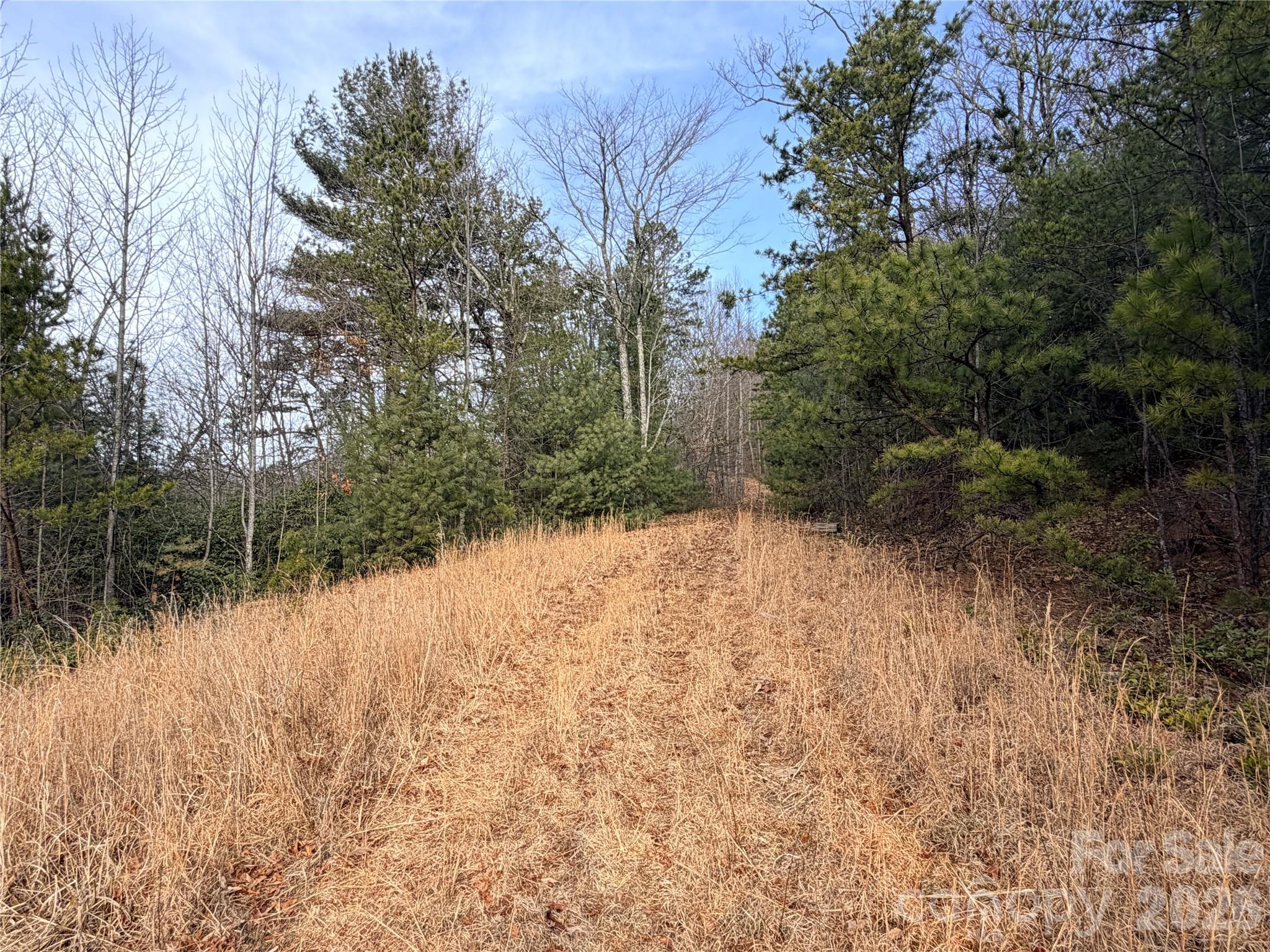 Buck Mountain - Land