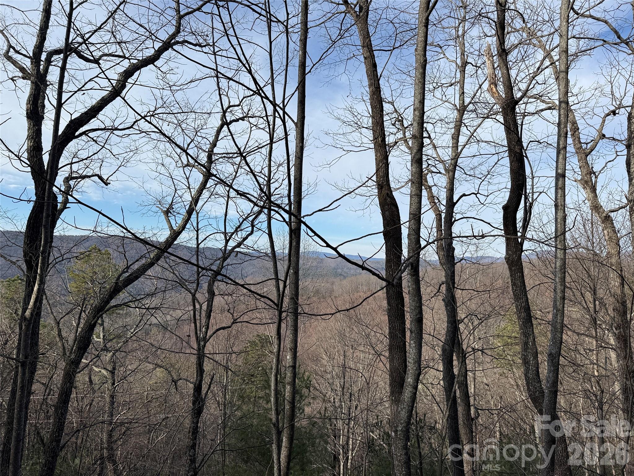 Buck Mountain - Land