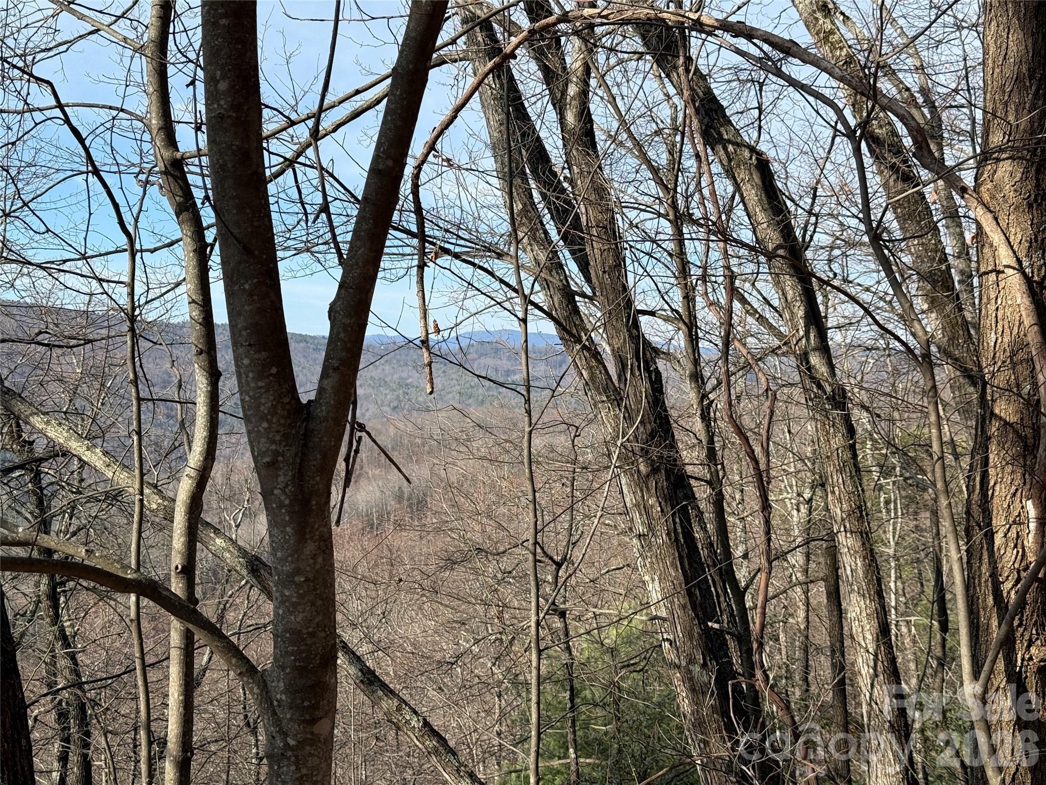 Buck Mountain - Land