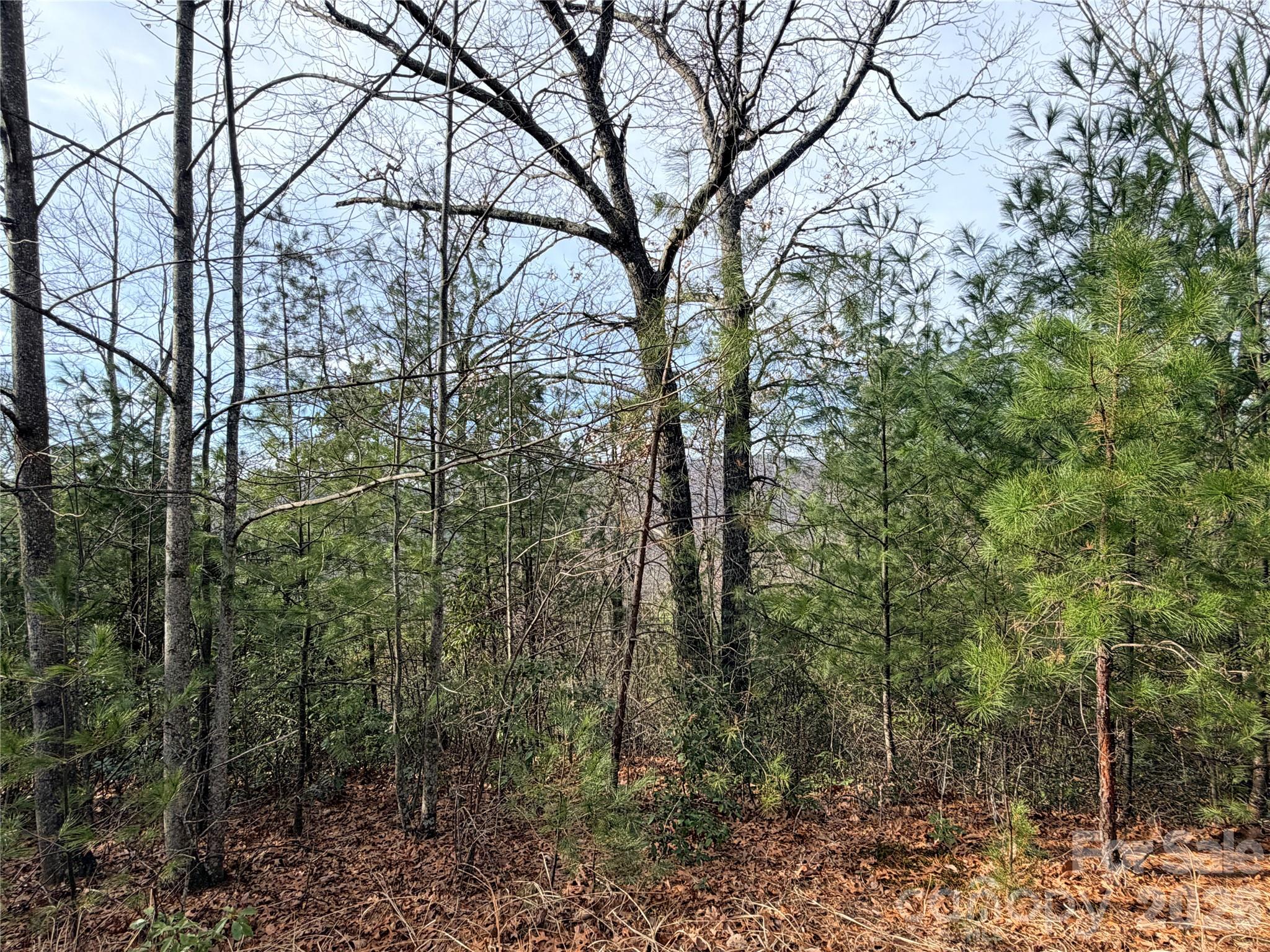 Buck Mountain - Land