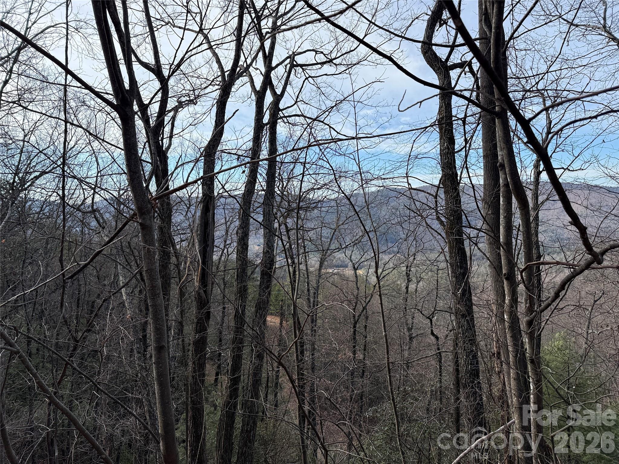 TBD Maple Valley Lane 207 & 220