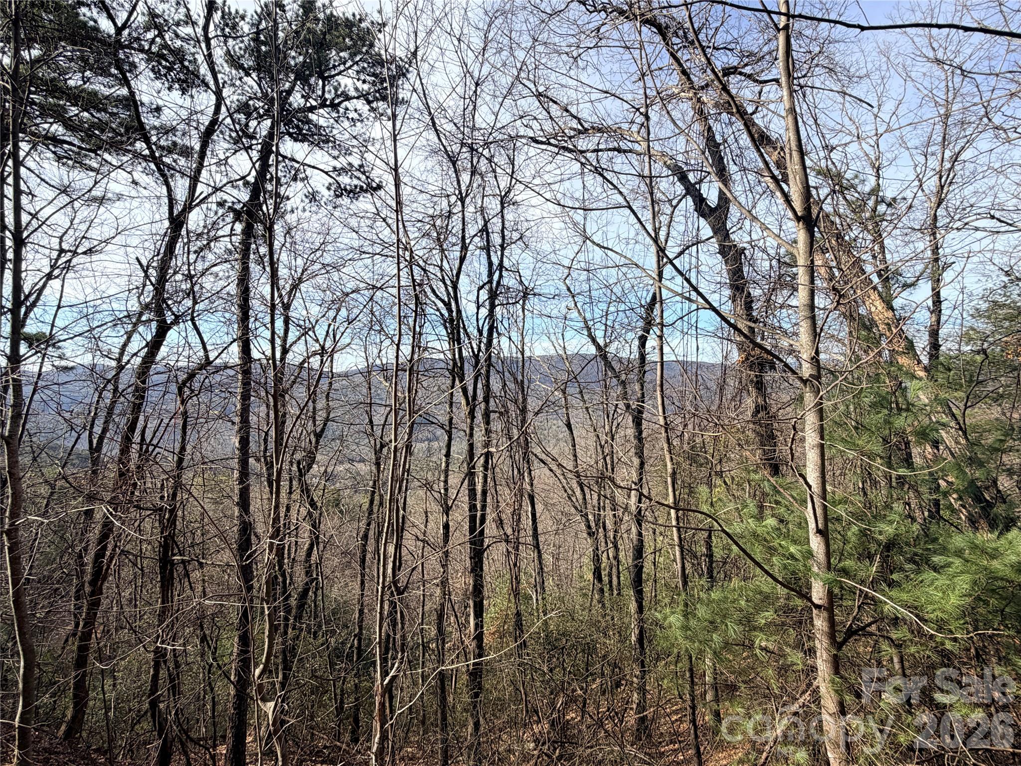 TBD Maple Valley Lane 207 & 220