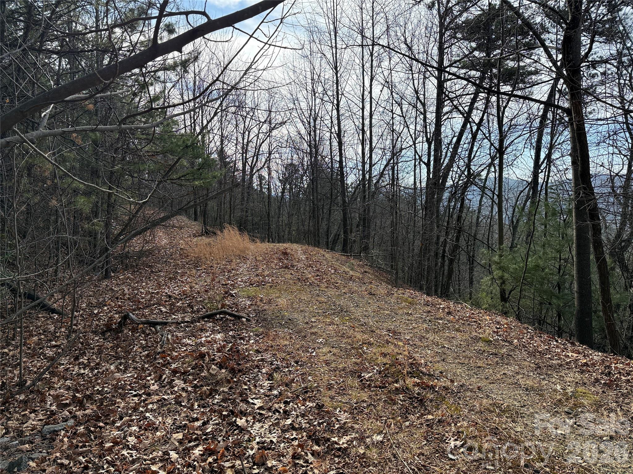 Buck Mountain - Land