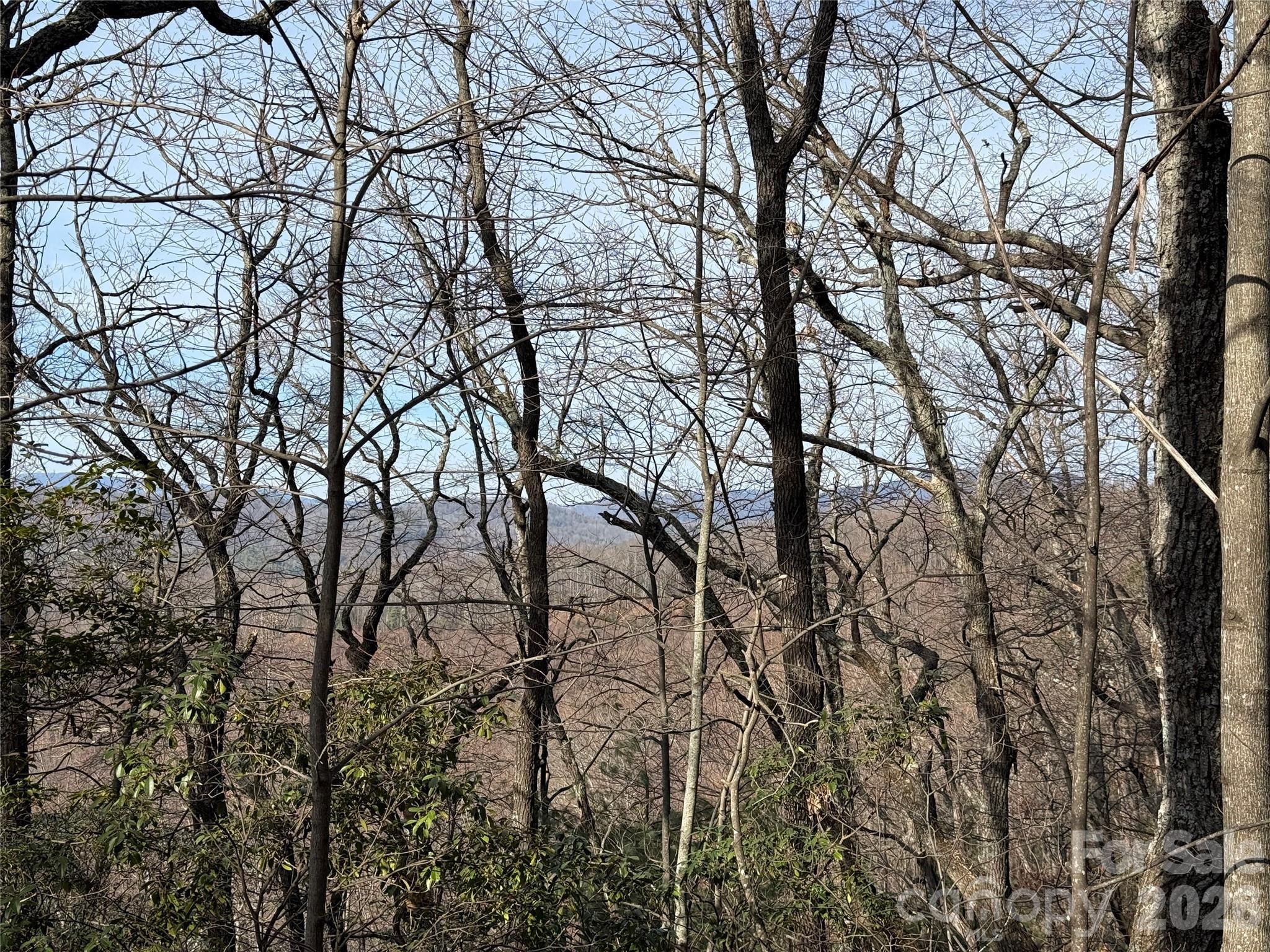 Buck Mountain - Land