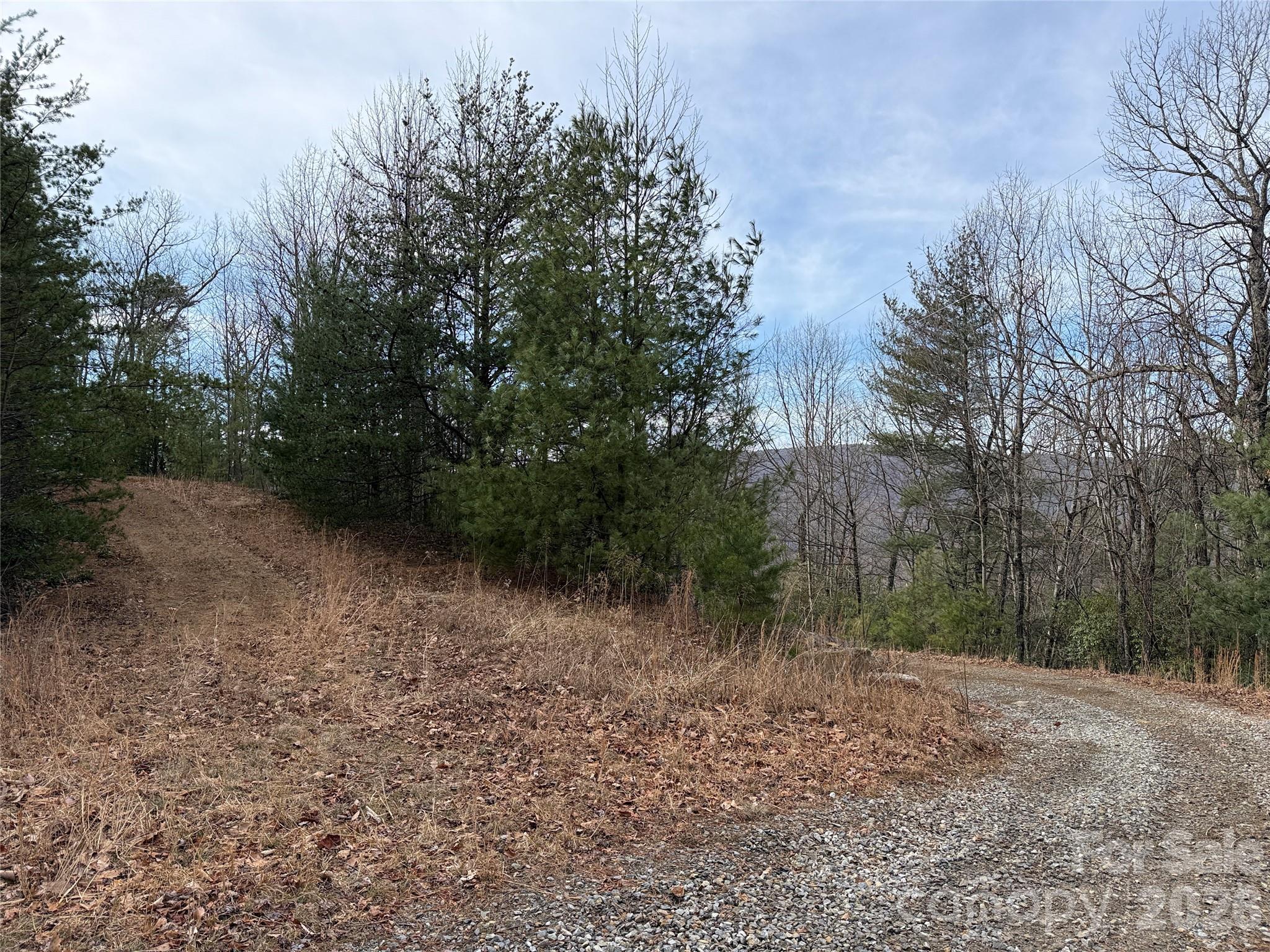 Buck Mountain - Land