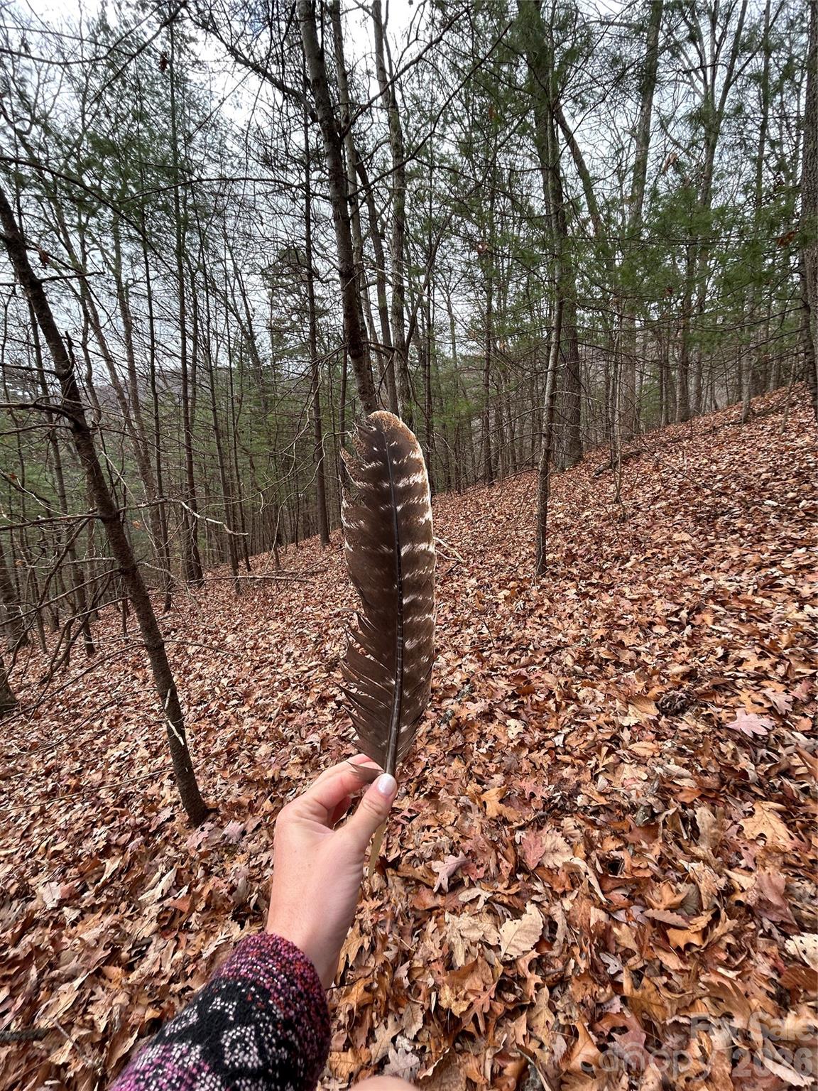 99999 Cowan Cove Road