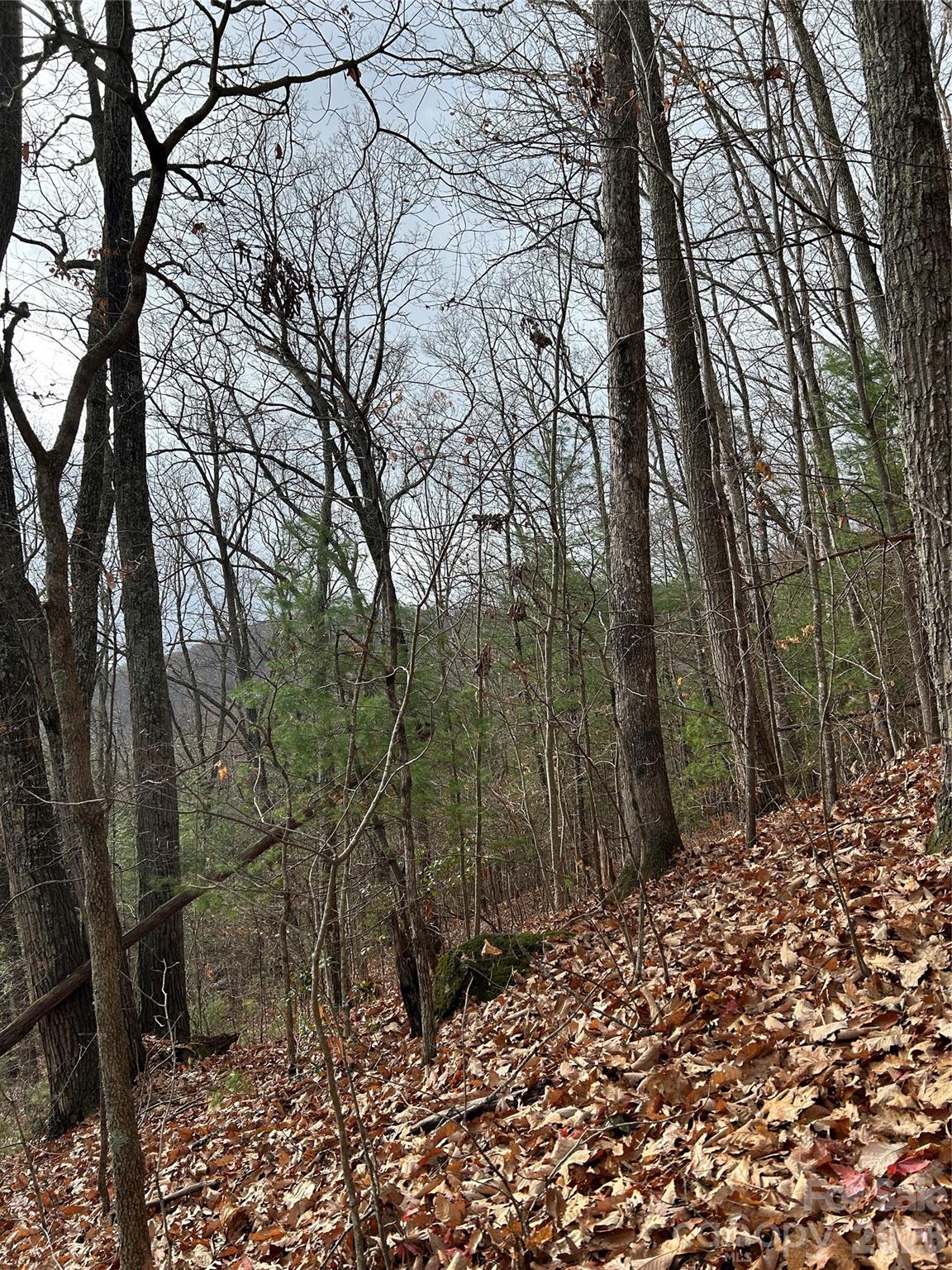 99999 Cowan Cove Road