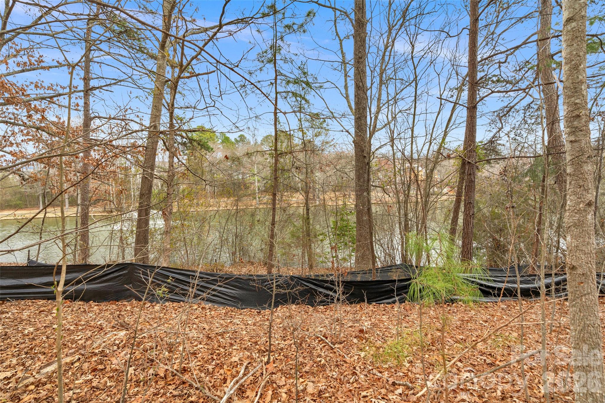 Victoria Lake - Land