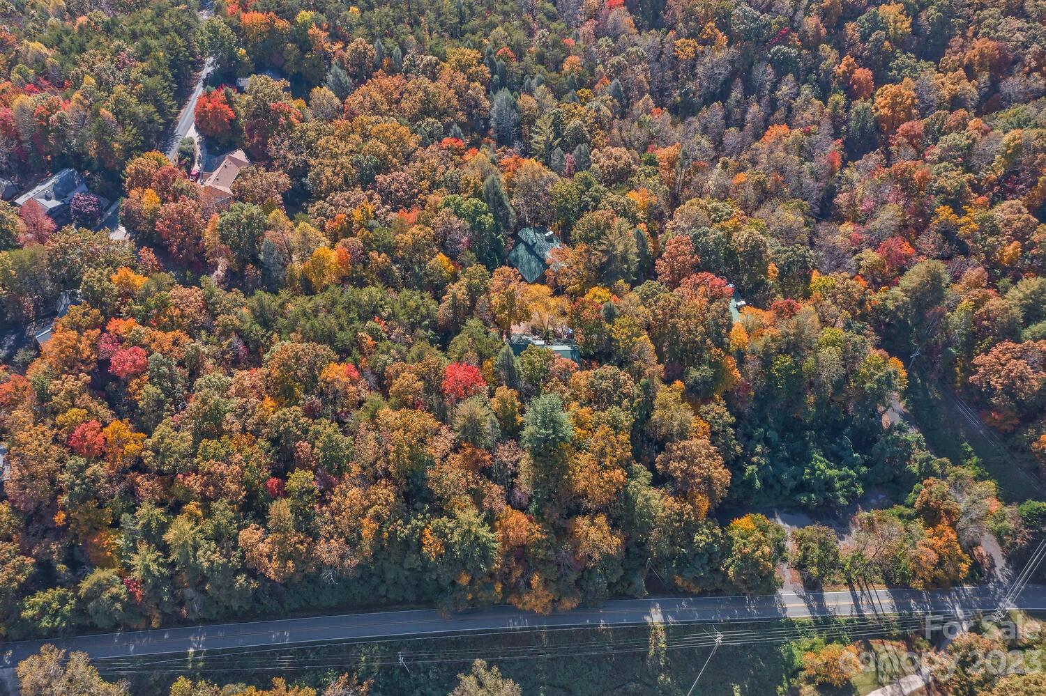 Rumbling Bald on Lake Lure - Land