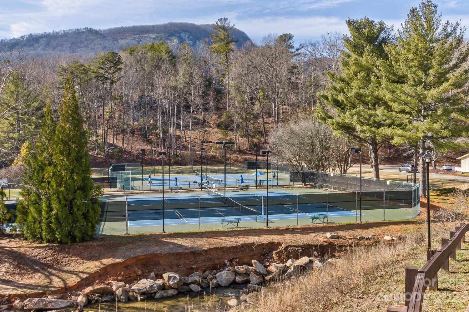 Rumbling Bald on Lake Lure - Land
