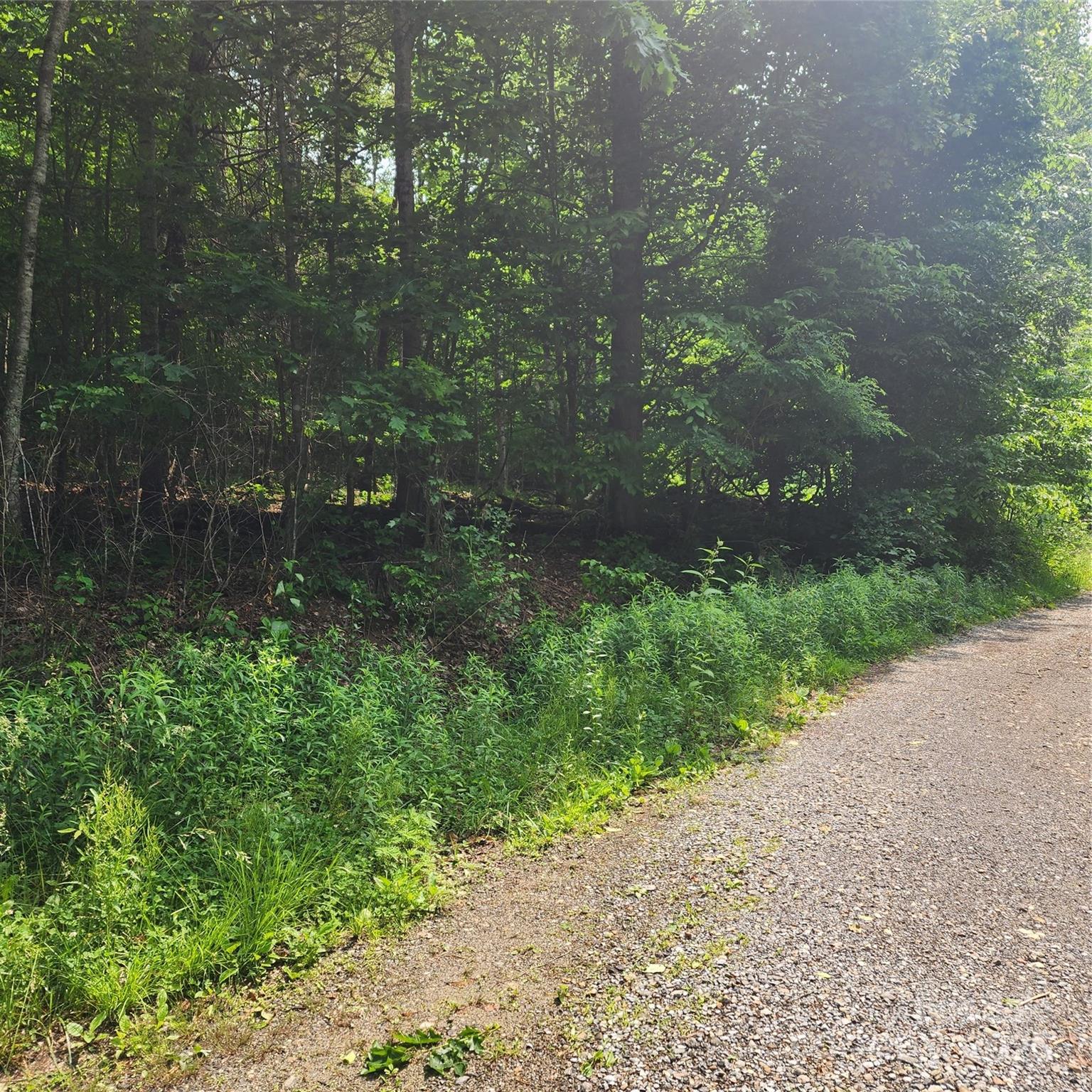 00 Poplar Creek Road