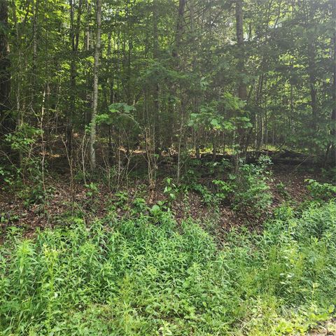 00 Poplar Creek Road Green Mountain NC 28740