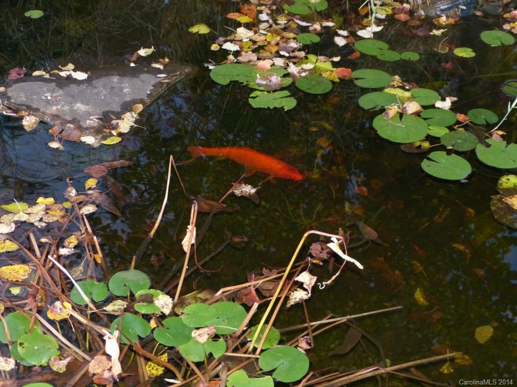 Poplar Woods - Residential Lease