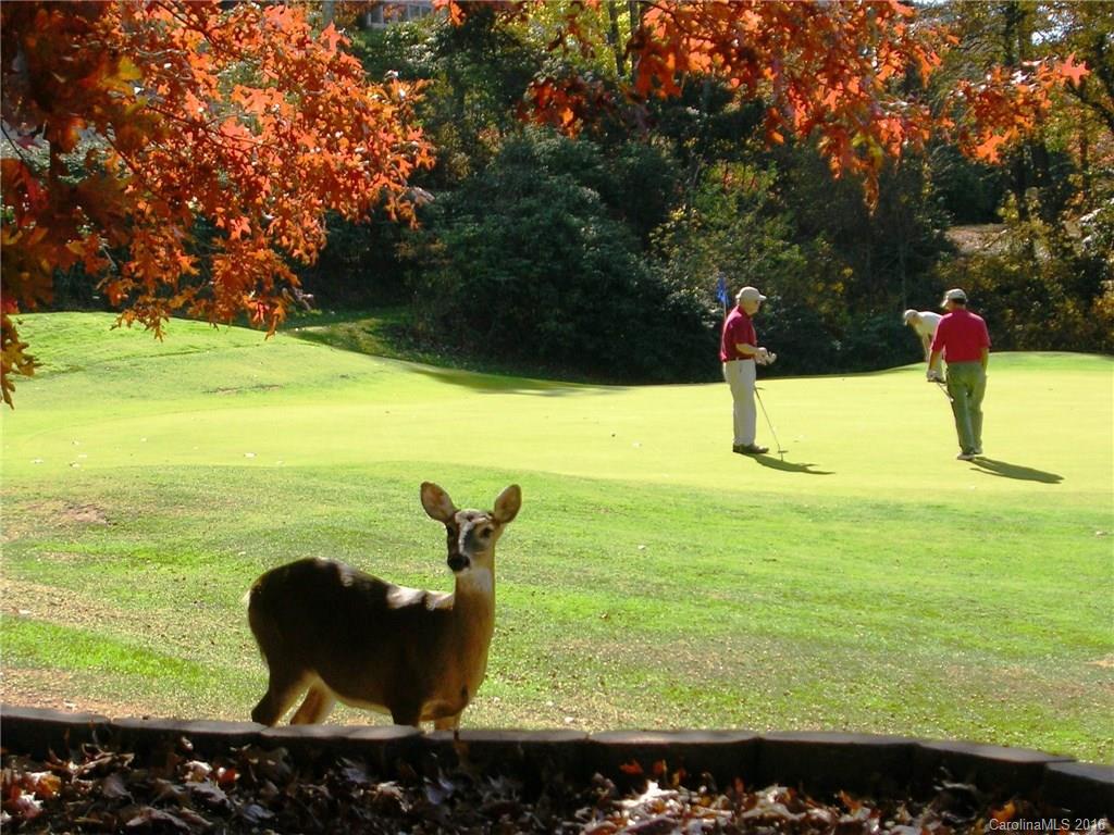 Connestee Falls - Residential