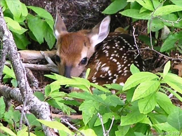Connestee Falls - Residential