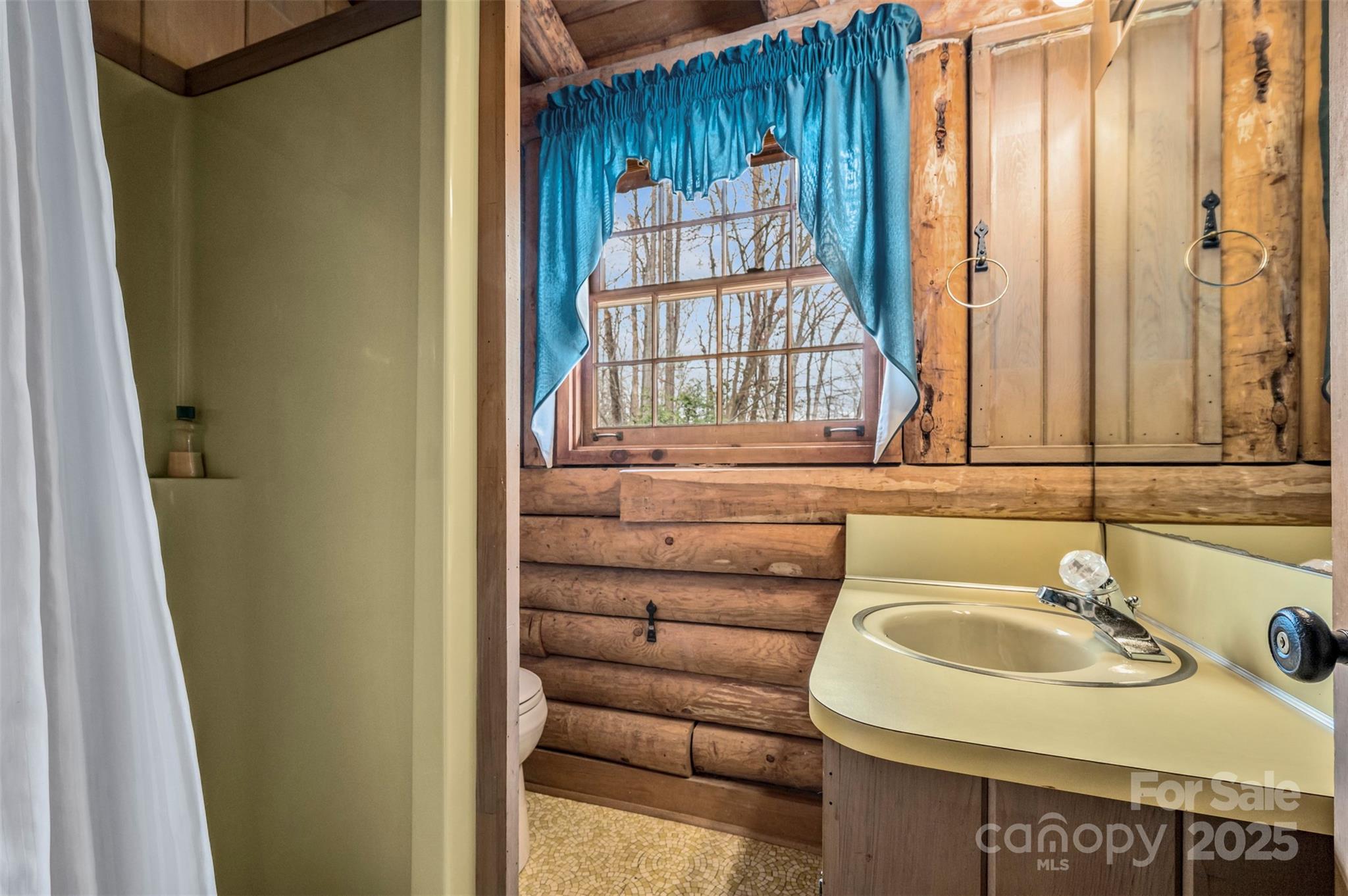 Lake Lanier - Residential