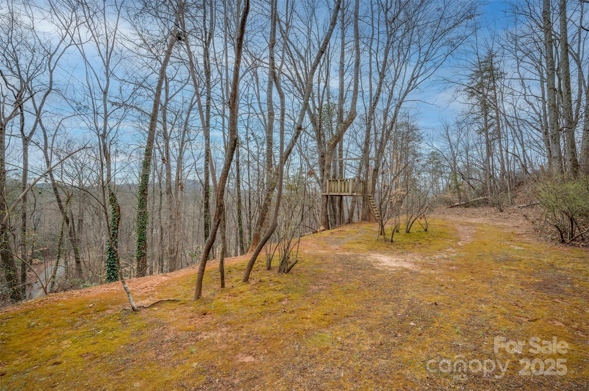 Lake Lanier - Residential