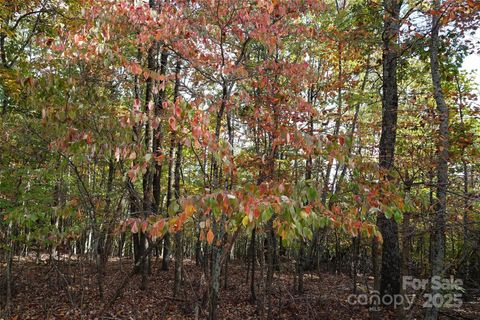 69 Adirondack Lane Bostic NC 28018