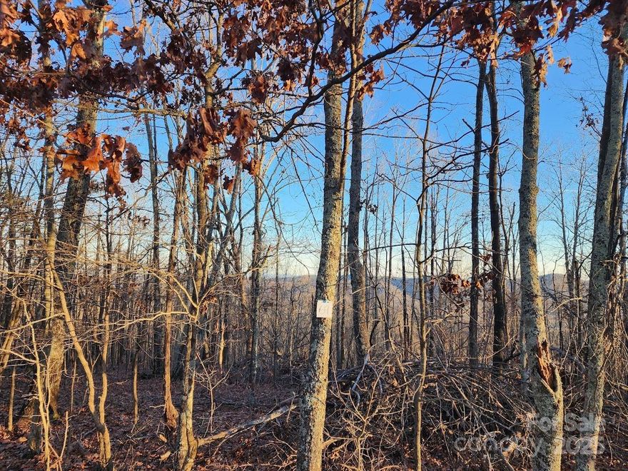 Build your mountain getaway in The Summit, a gated community in rural Golden Valley! This 1.46-acre residential lot offers long-range, year-round views in a peaceful setting with paved roads and underground utilities. Private road frontage with underground utilities and well maintained roads. Well and septic will be needed. Minimum 1,200 SF (manufactured homes not allowed). Convenient to Bostic/Forest City and just a short drive to local favorites like Yogi Bear’s Jellystone Park. About 1/2 way between Charlotte and Asheville in rural, scenic, historic Rutherford County. If you've been waiting for an affordable foothills lot with views and a secure community setting, this one deserves a look.