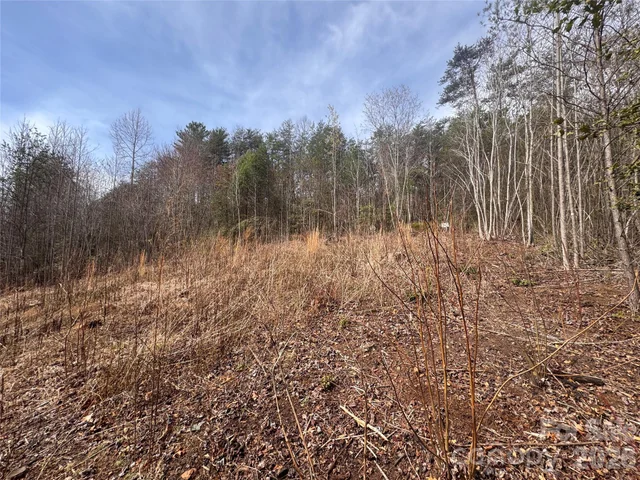 00 Billings Hill Church Road Unit 56, photo 5 of 14