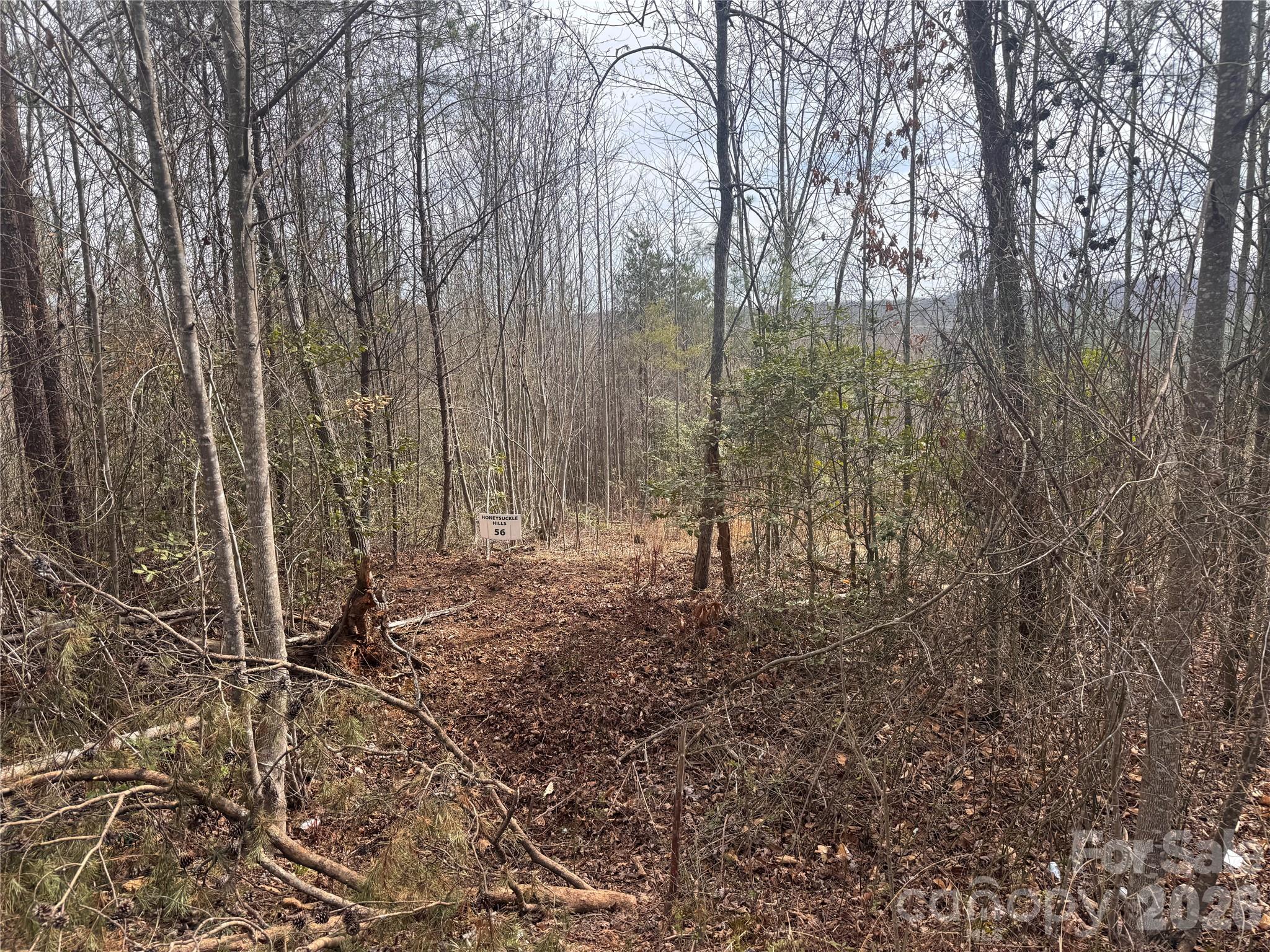 00 Billings Hill Church Road Unit 56, Traphill, NC, 28685