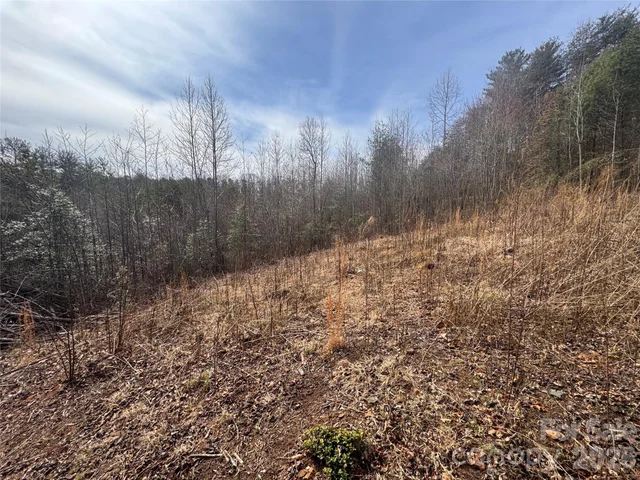 00 Billings Hill Church Road Unit 56, photo 4 of 14