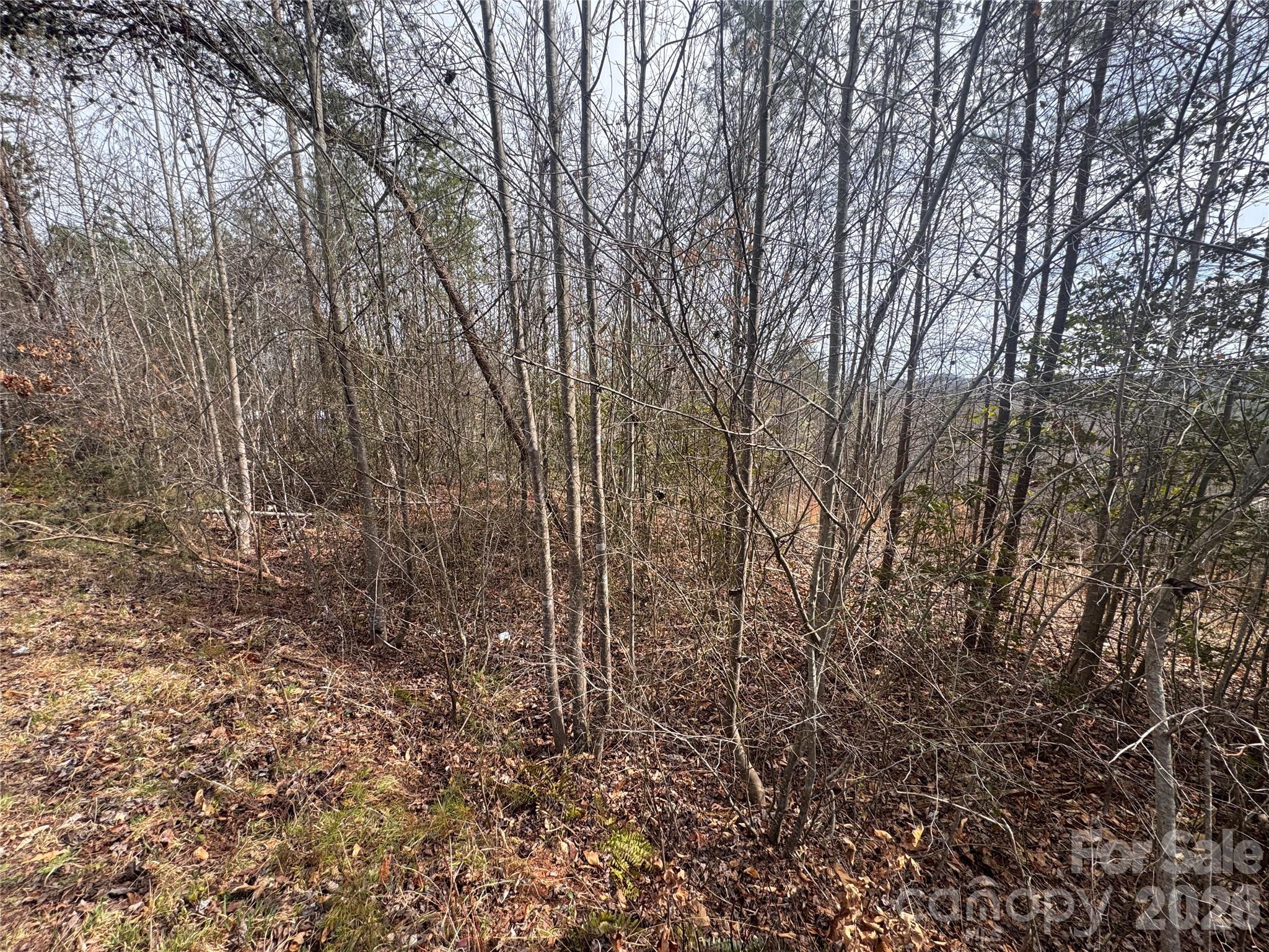 00 Billings Hill Church Road 56