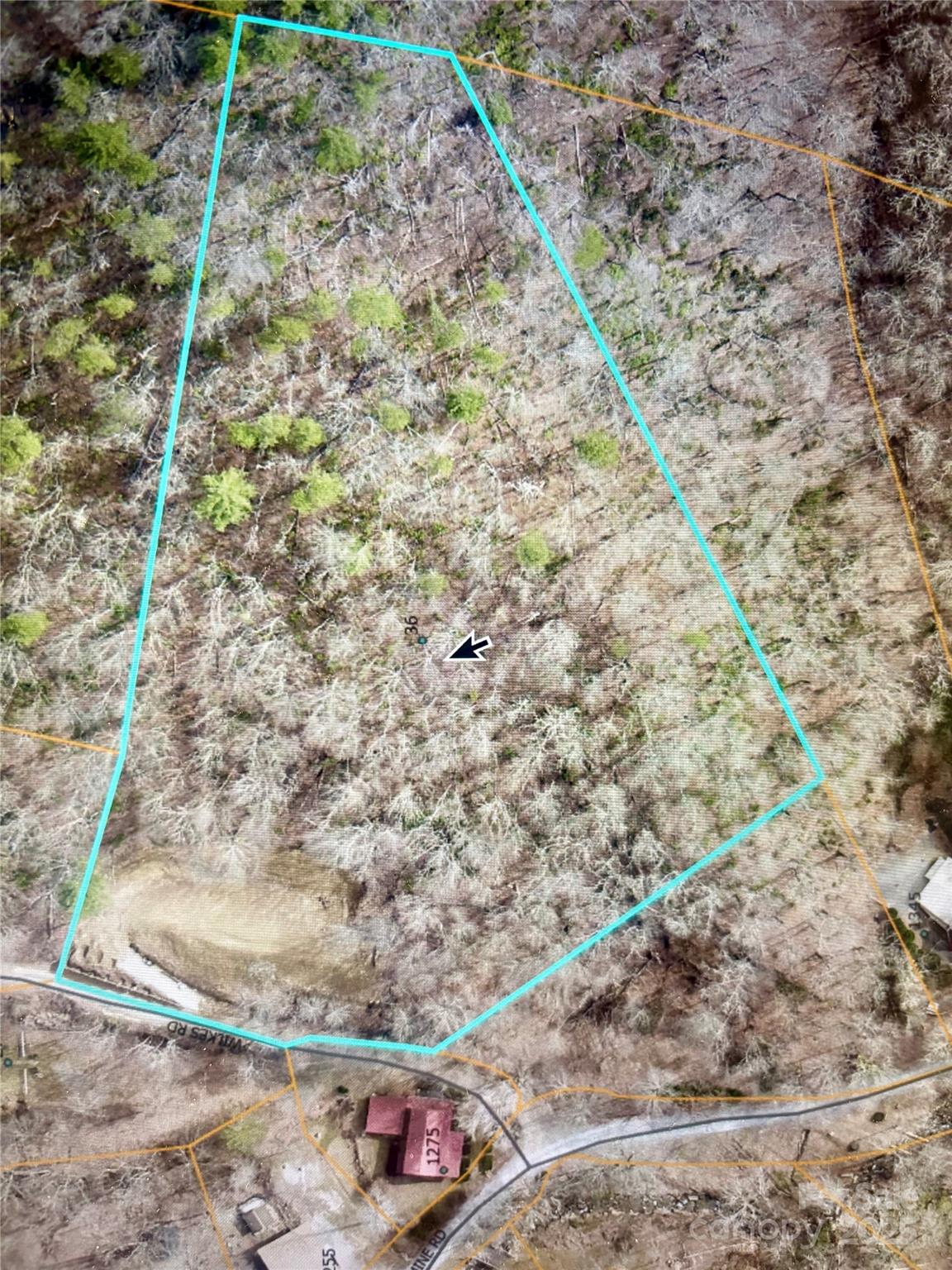 Main image without alt text