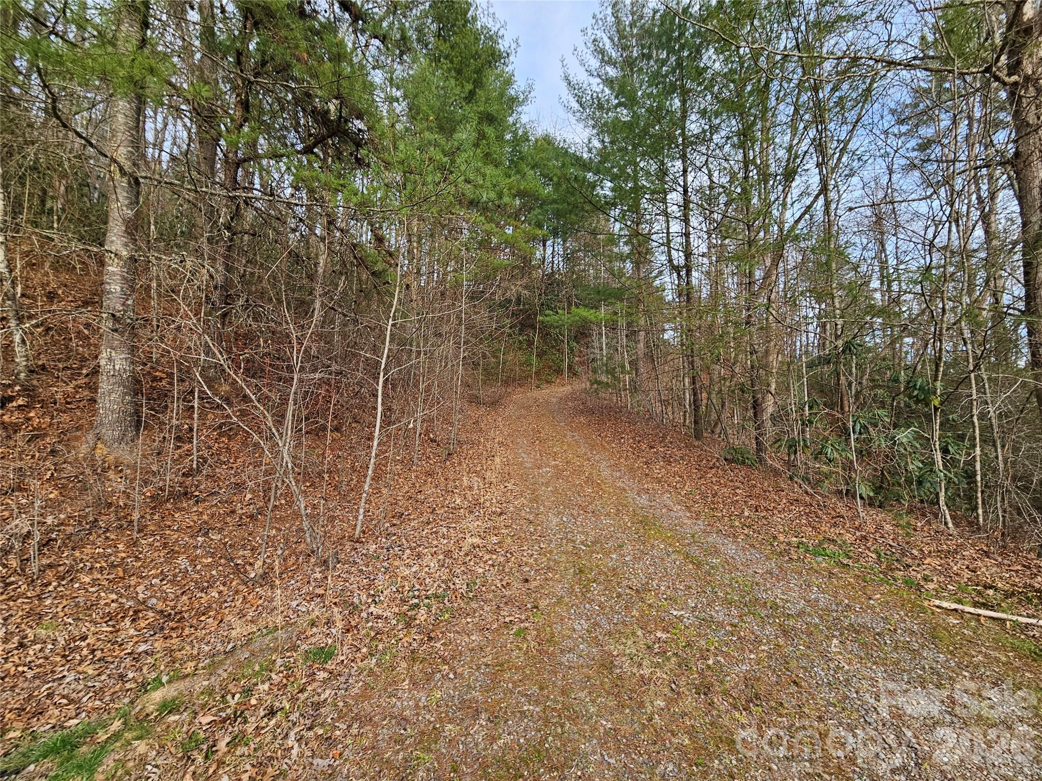 00 Wispy Willow Drive 22T