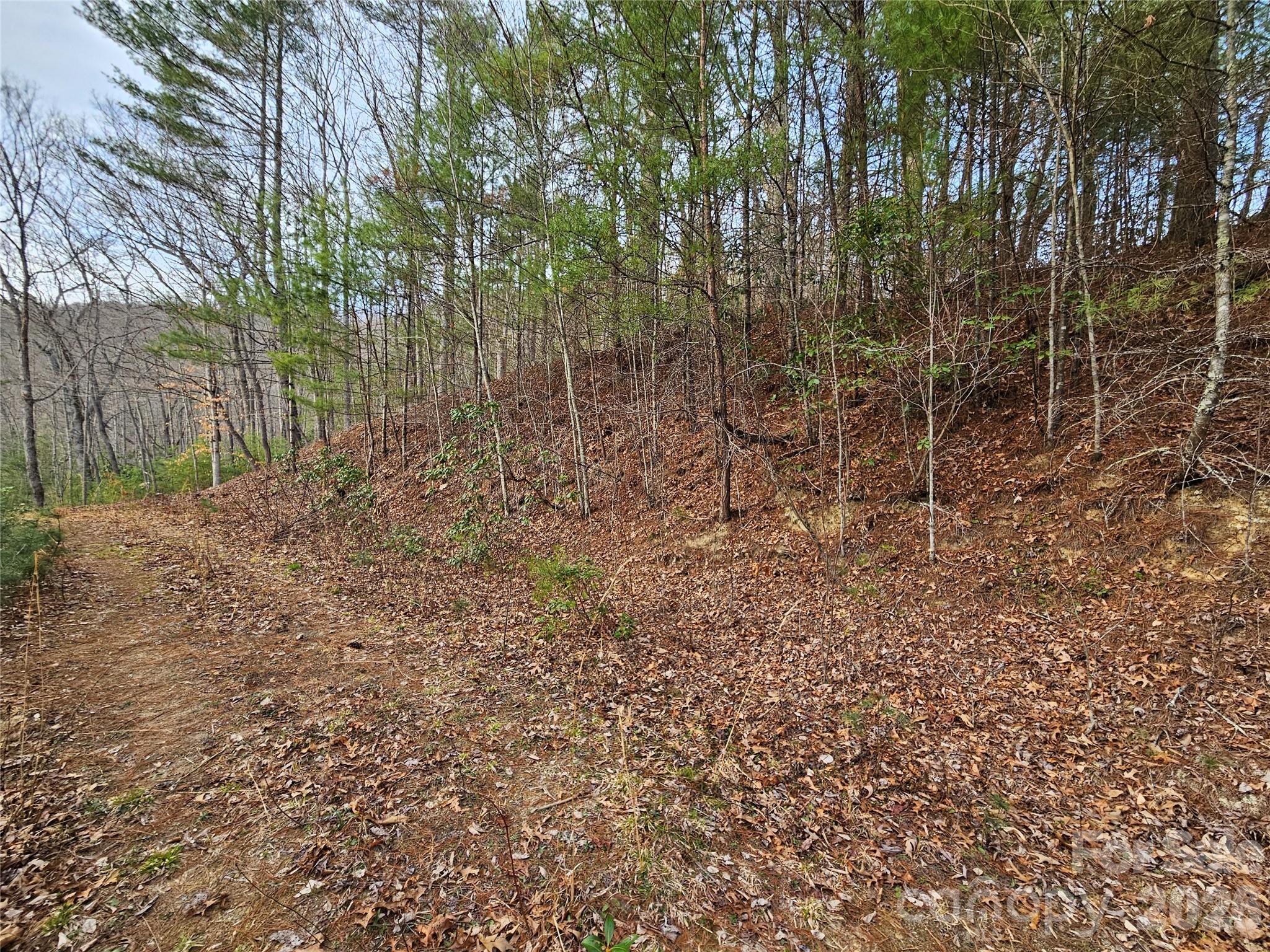 Twin Oaks Estate - Land