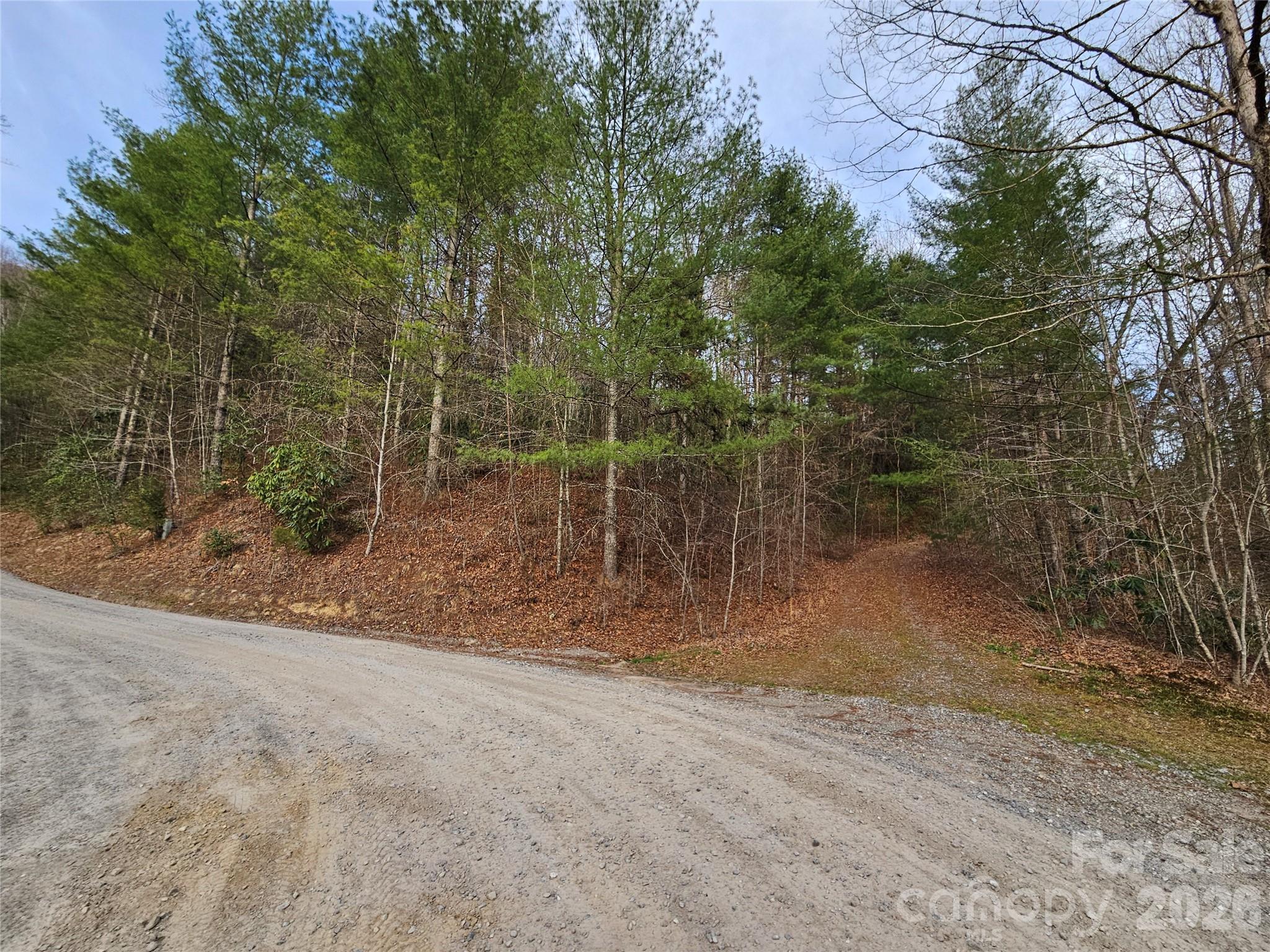 00 Wispy Willow Drive 22T