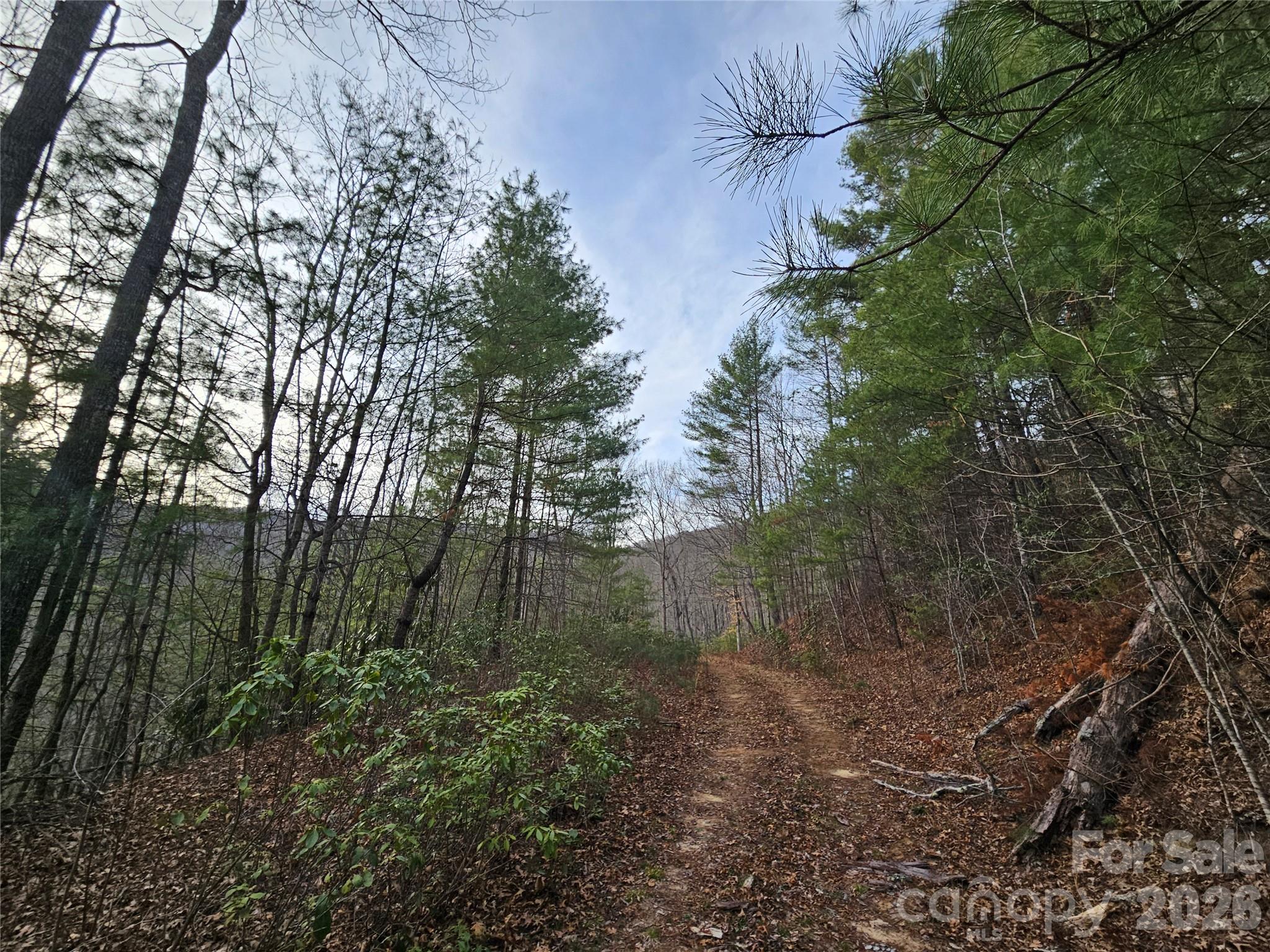 Twin Oaks Estate - Land