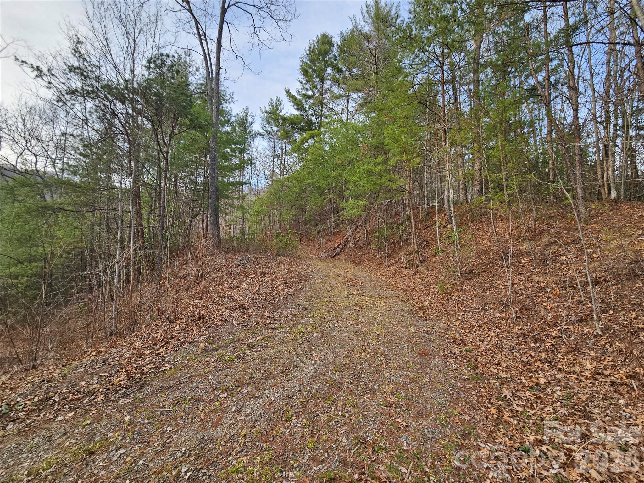 Twin Oaks Estate - Land