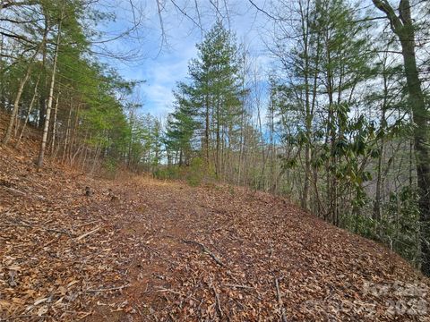 Photo of 00 Wispy Willow Drive #22T, Waynesville, NC 28785 (MLS # 4362403)