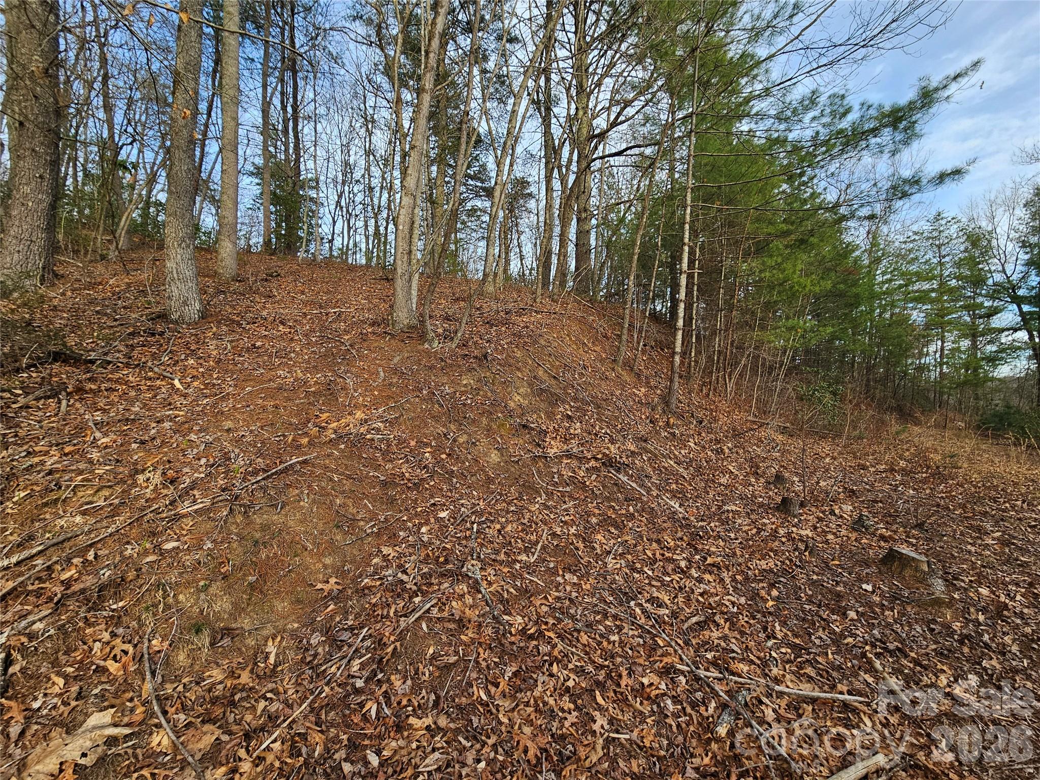 Twin Oaks Estate - Land