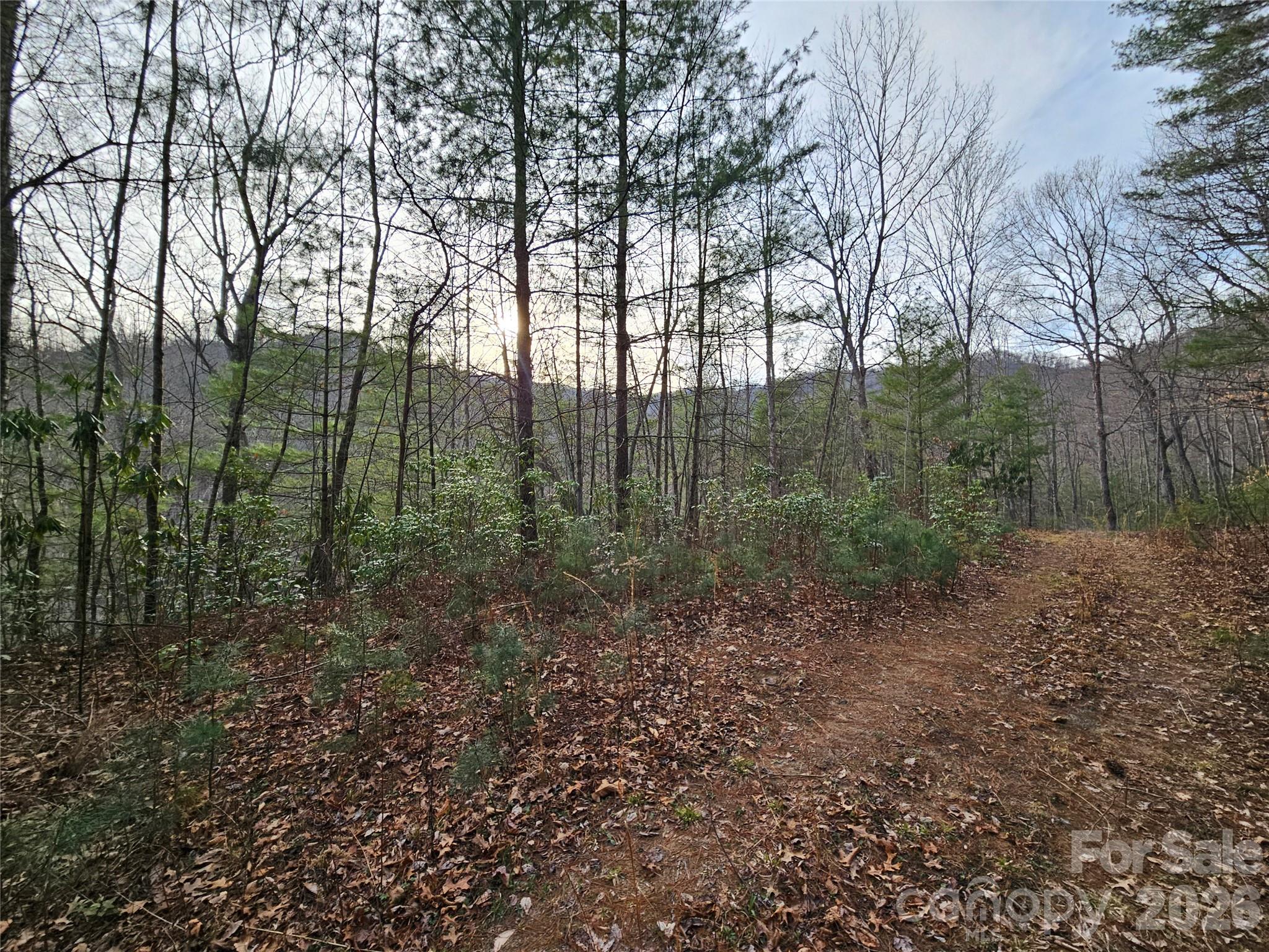 Twin Oaks Estate - Land