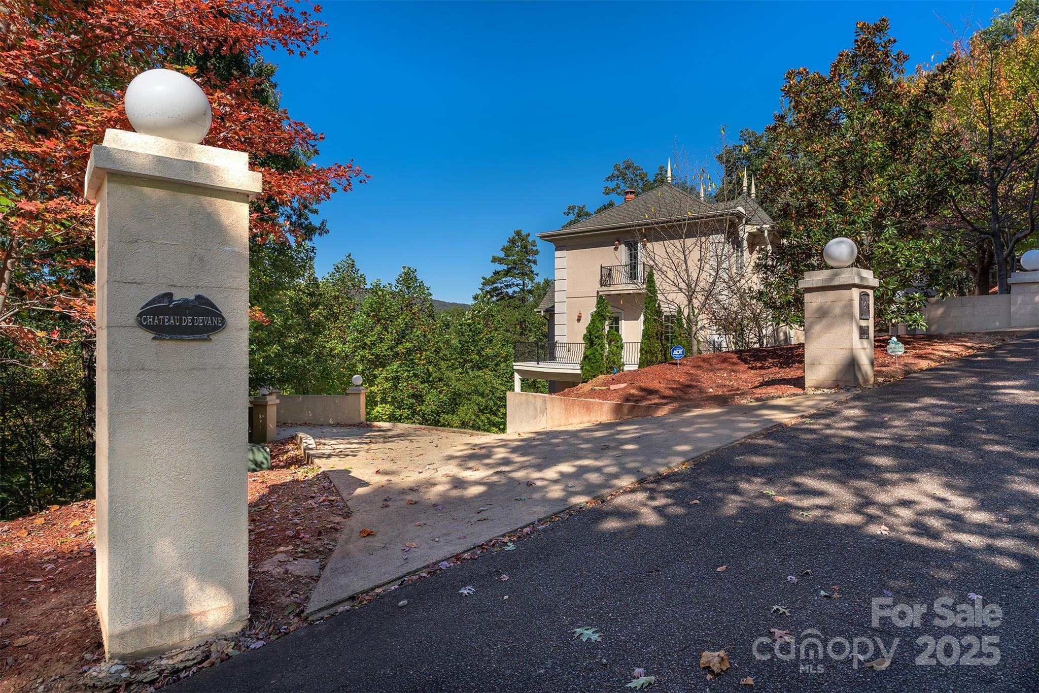 Rumbling Bald on Lake Lure - Residential