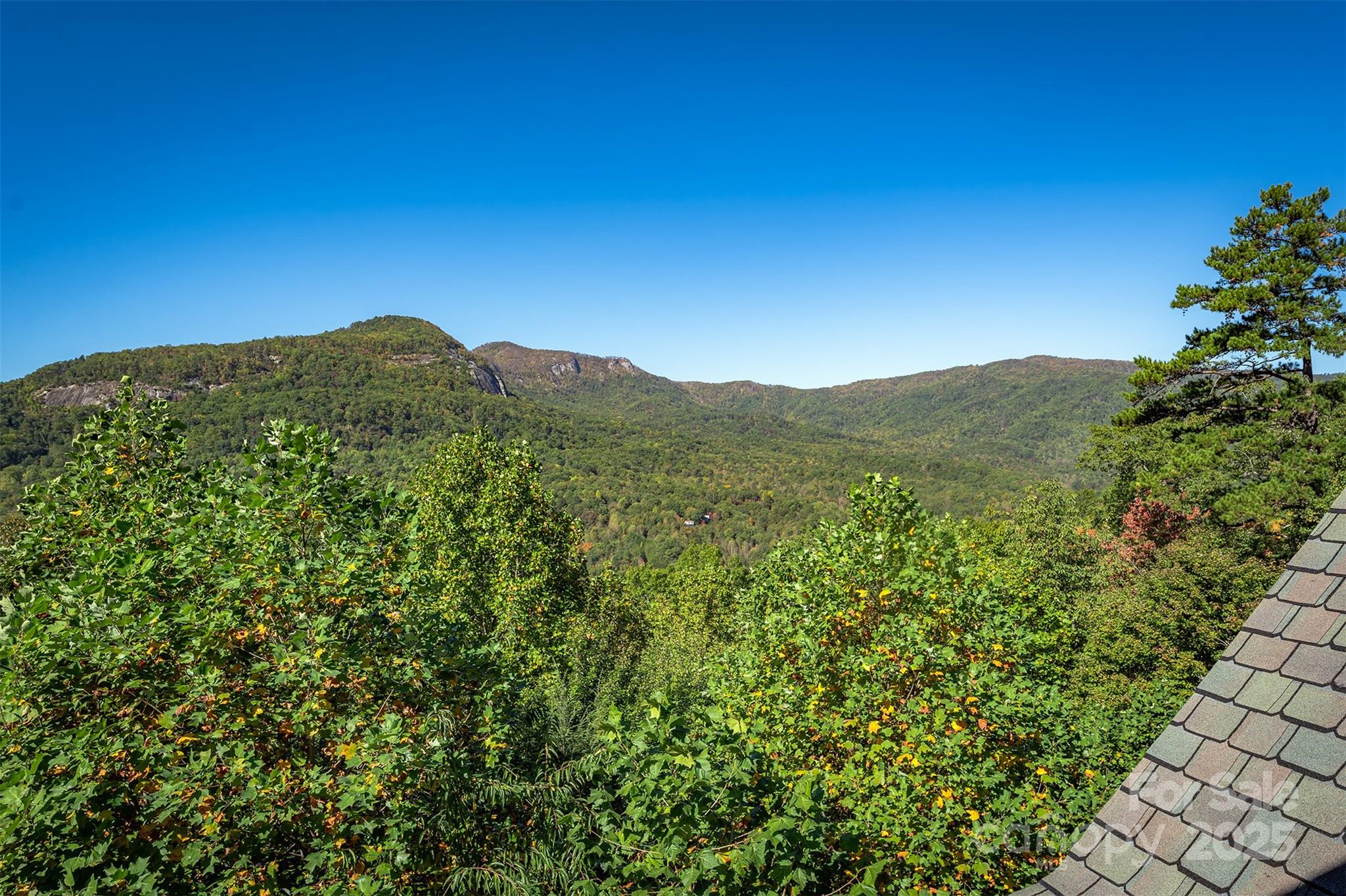 Rumbling Bald on Lake Lure - Residential