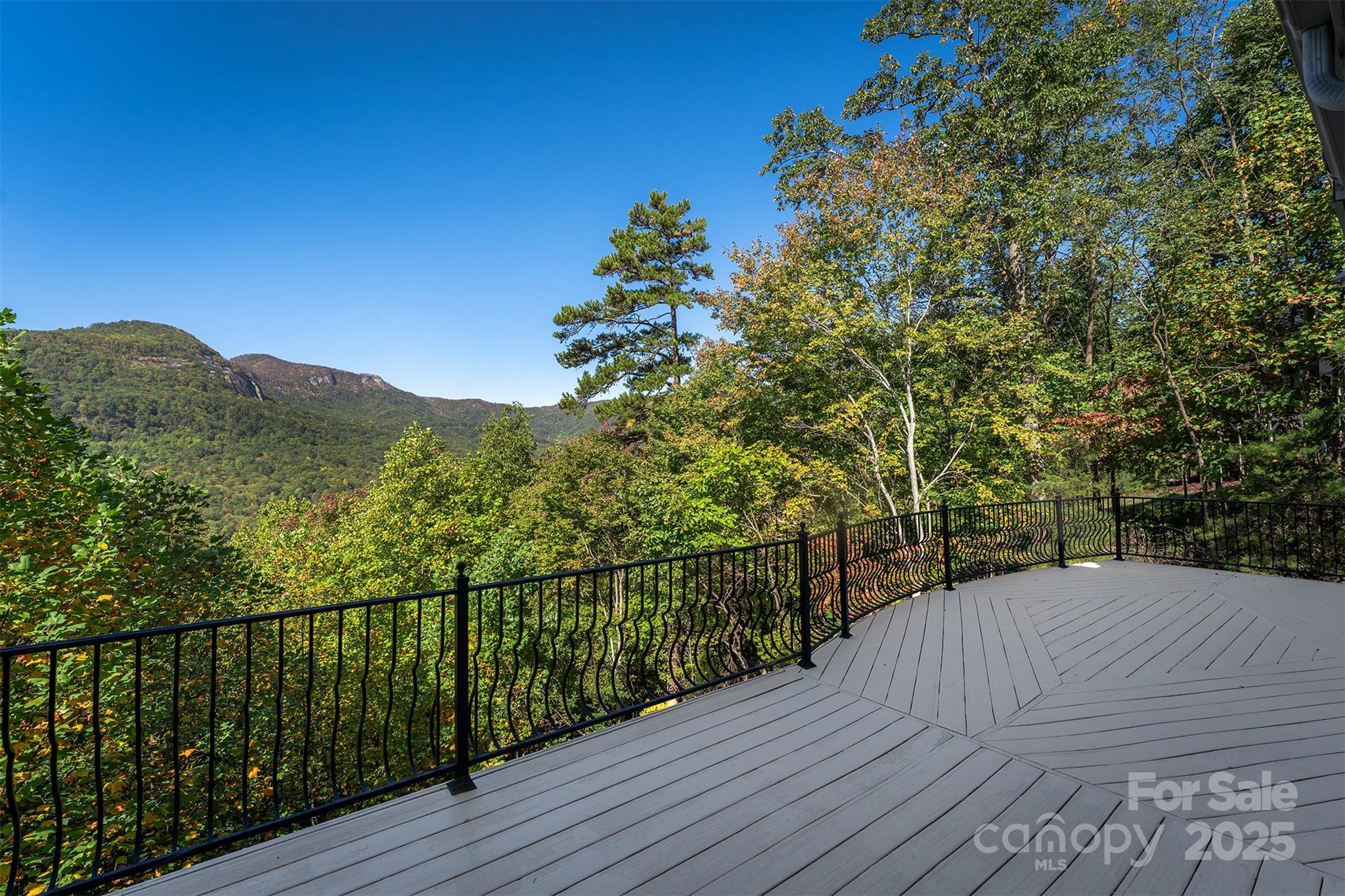 Rumbling Bald on Lake Lure - Residential