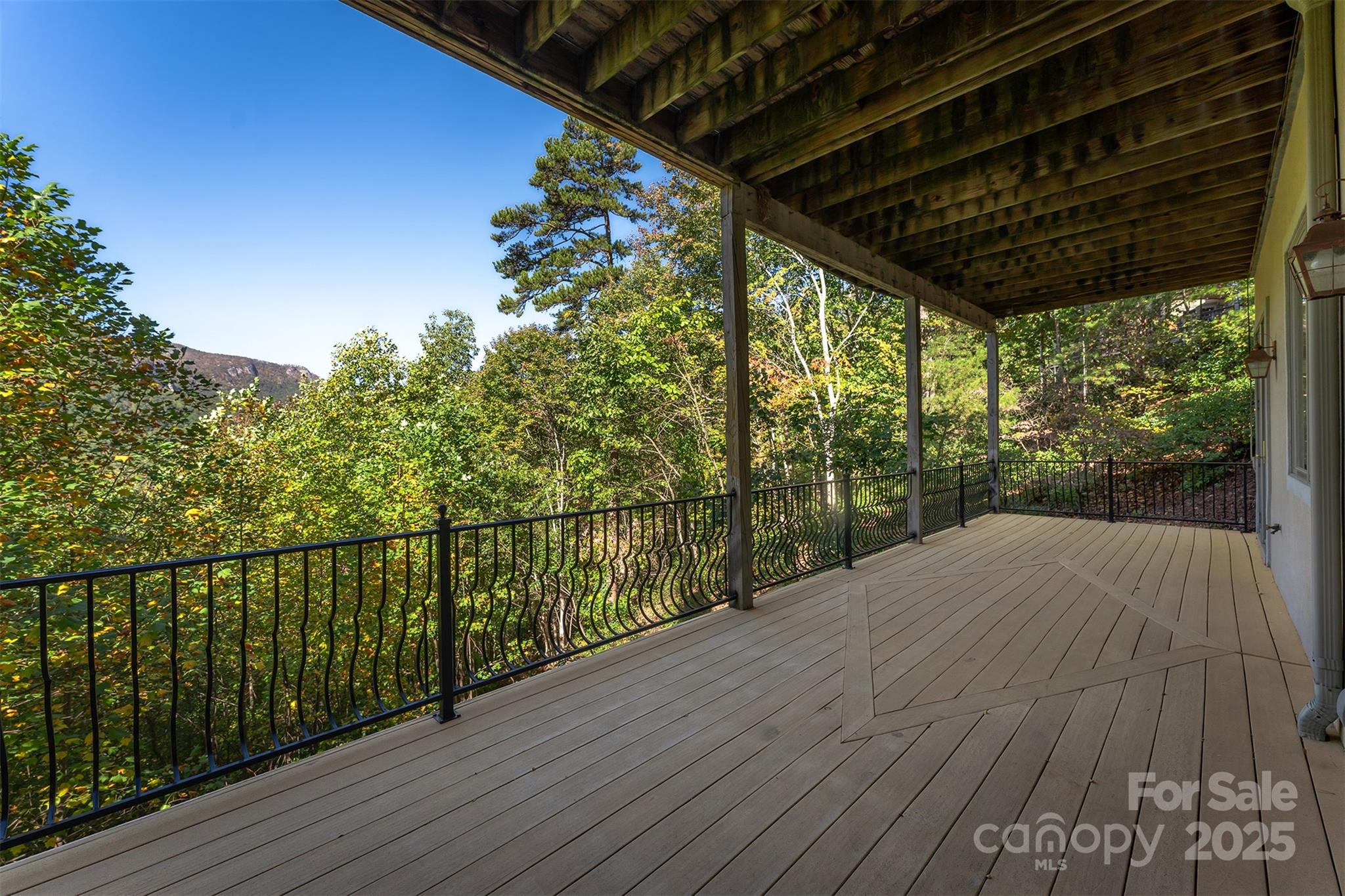Rumbling Bald on Lake Lure - Residential