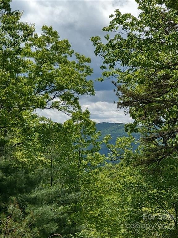 000 Dogwood Lane Unit E1, Penrose, NC, 28766