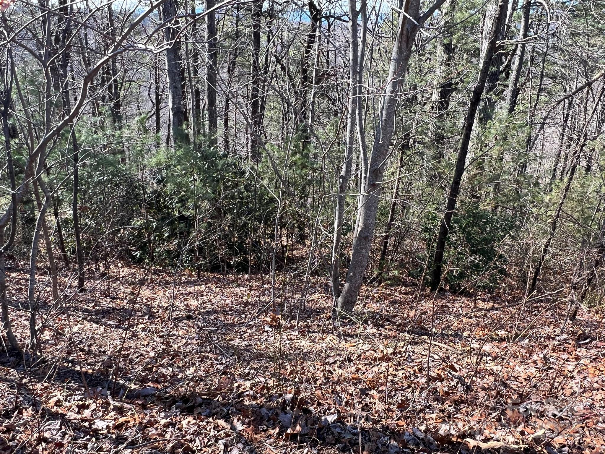 Lot# 17 Autumn Ridge Drive 17