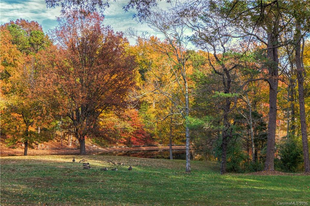 Carowood - Residential