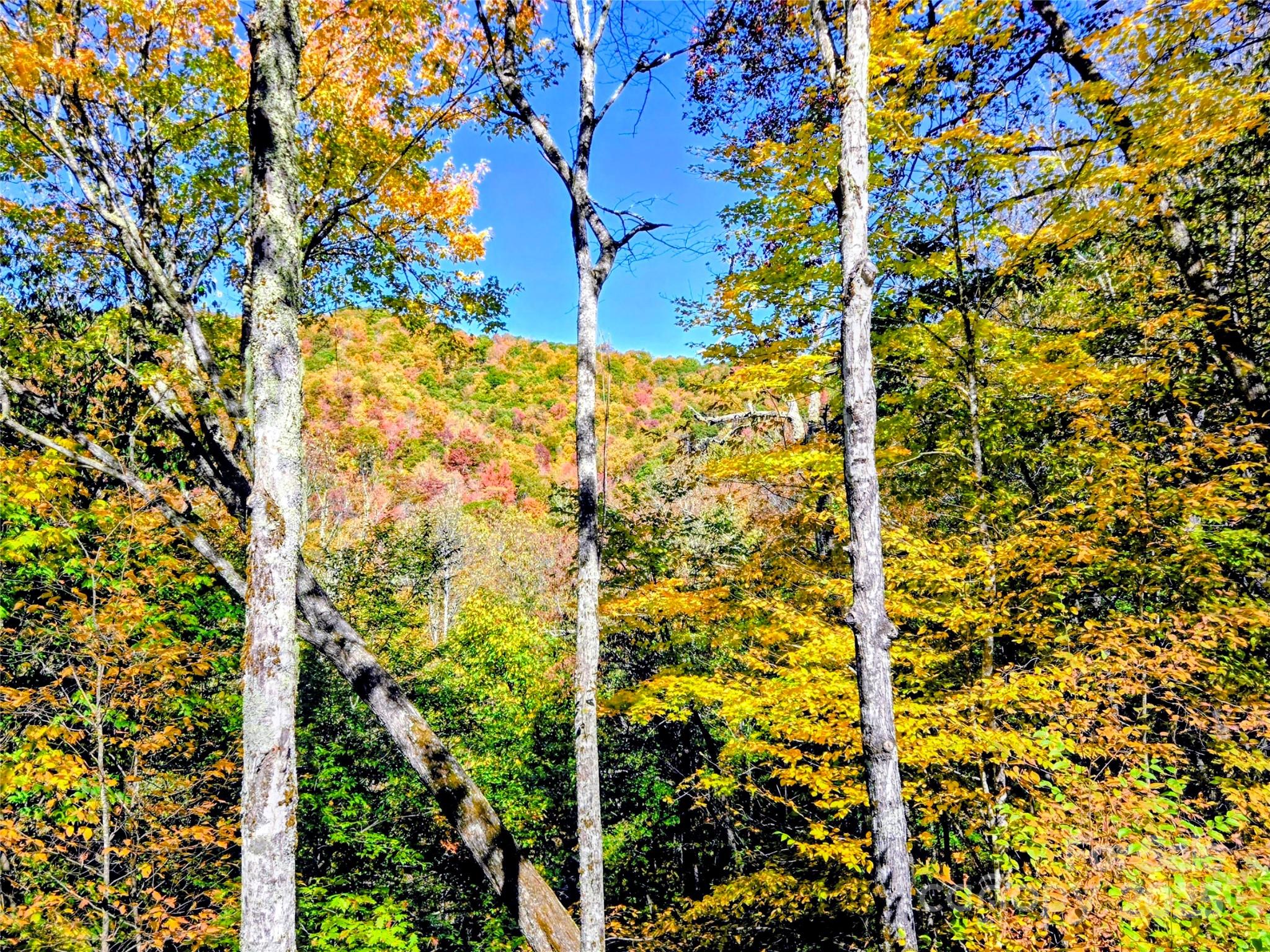 1158 Plott Balsam Road