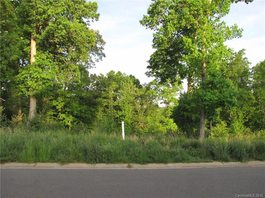 Prime Fort Mill half acre building lot in award winning Nation Ford High School District. Overlooks beautiful Sugar Creek. Neighborhood of fine custom homes. Less than 10 minutes to Carolina Place Mall. Convenient to shopping, dining & 77 access.