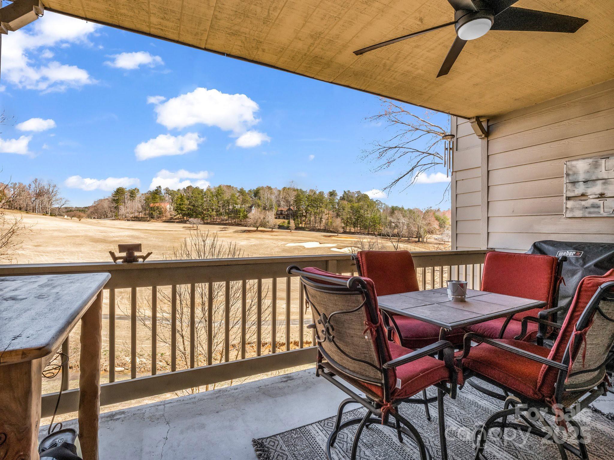 Rumbling Bald on Lake Lure - Residential