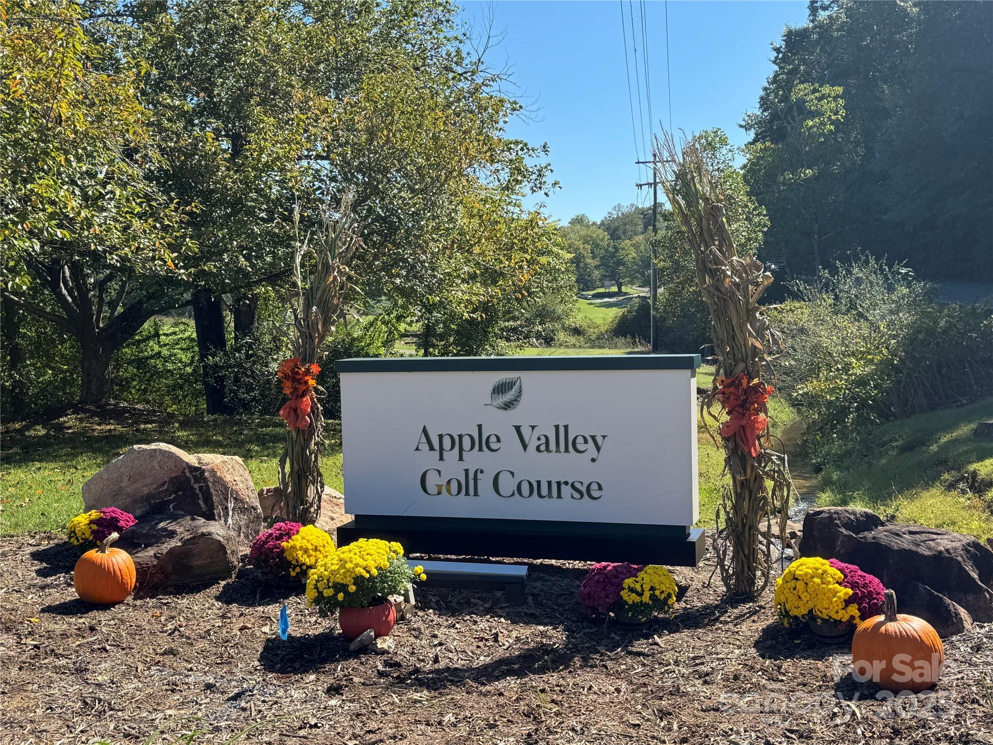 Rumbling Bald on Lake Lure - Residential